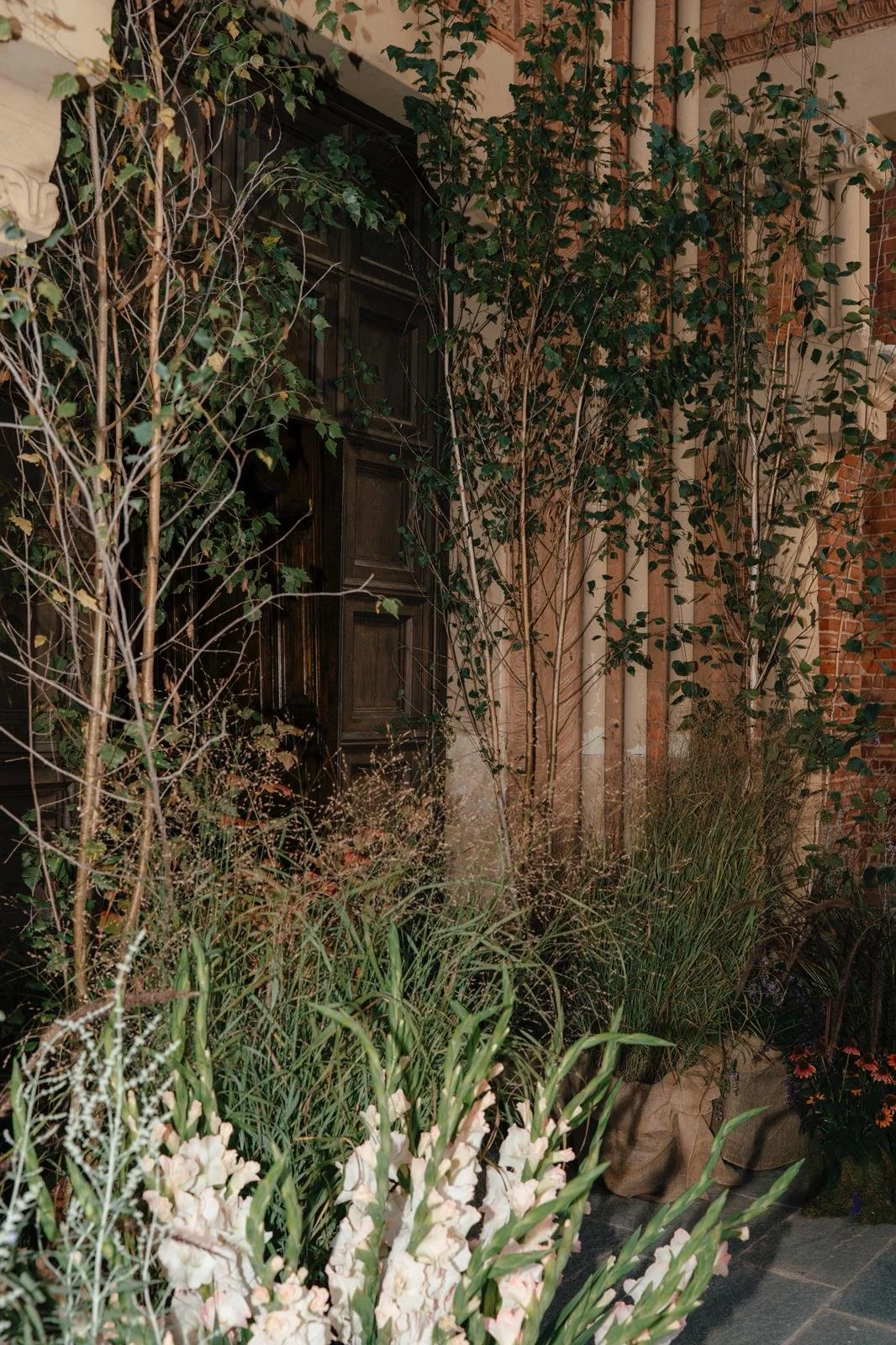 WhatsApp Image 2026-01-10 at 09.24.39 (2).jpeg