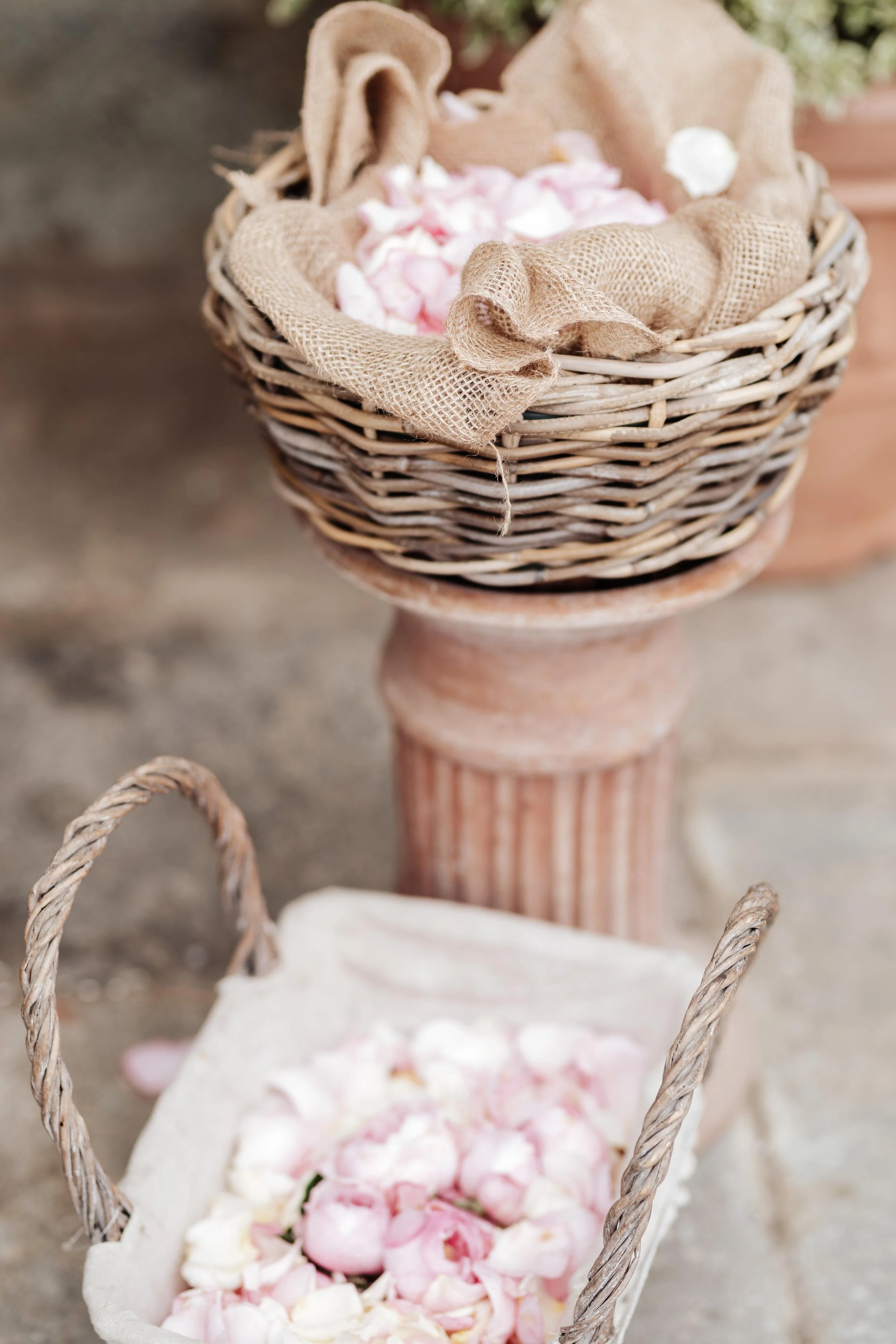 WhatsApp Image 2026-01-10 at 09.23.37 (1).jpeg