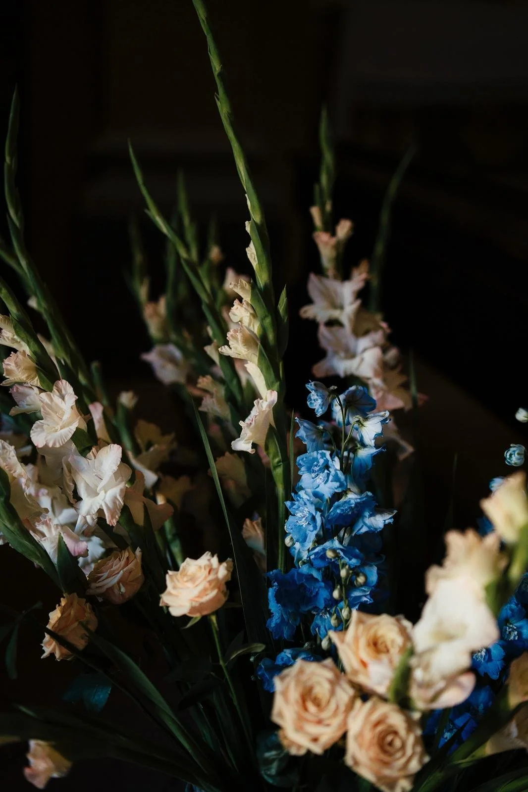 WhatsApp Image 2026-01-10 at 09.24.36.jpeg