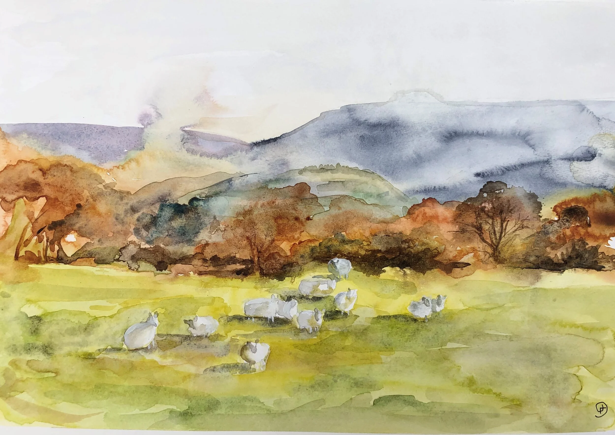 at home on the hills.jpeg