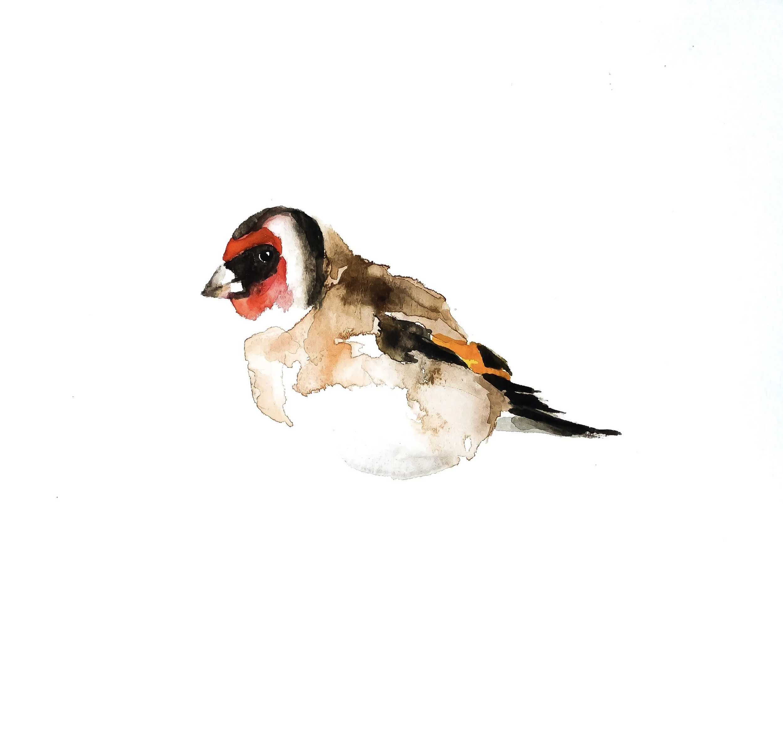 goldfinch.jpeg