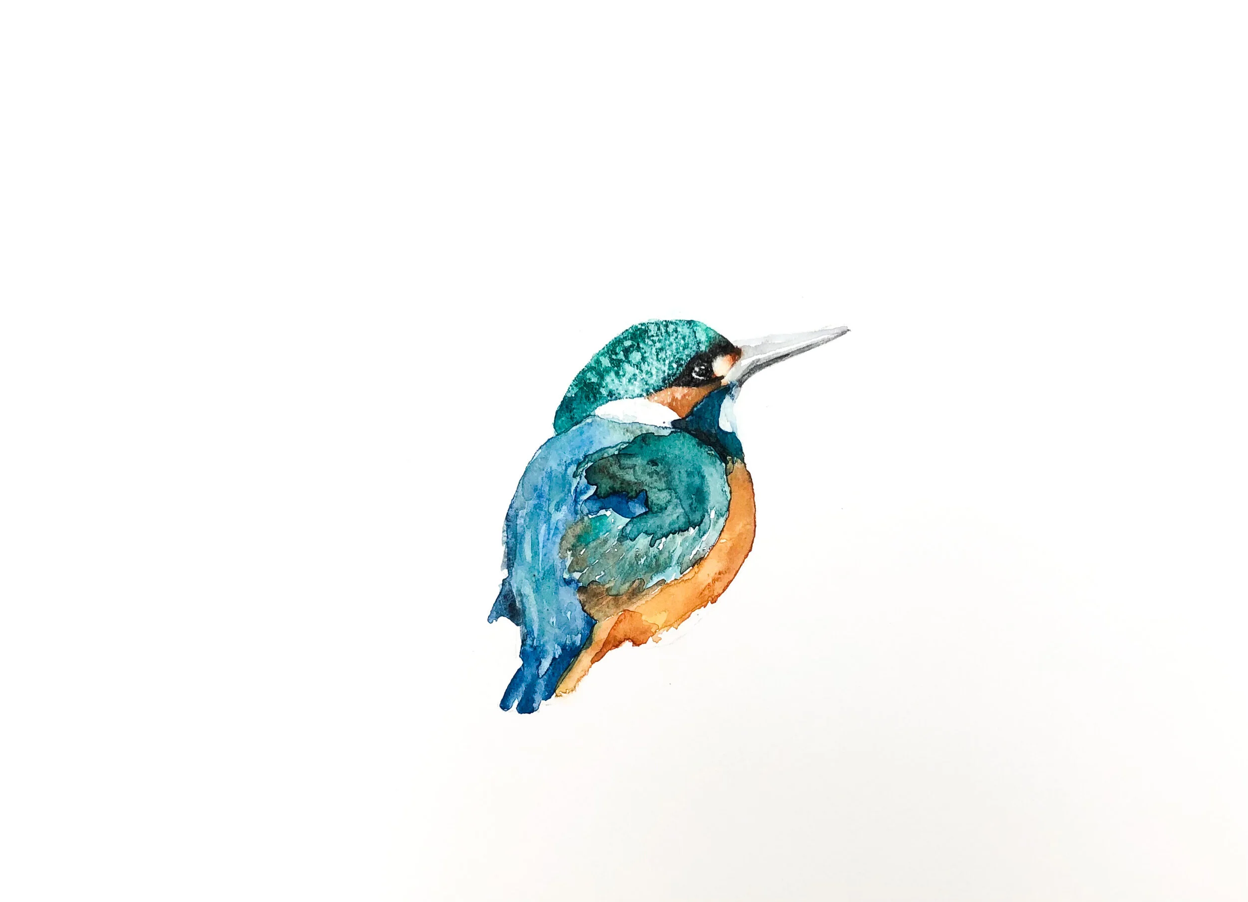 kingfisher 2.jpeg
