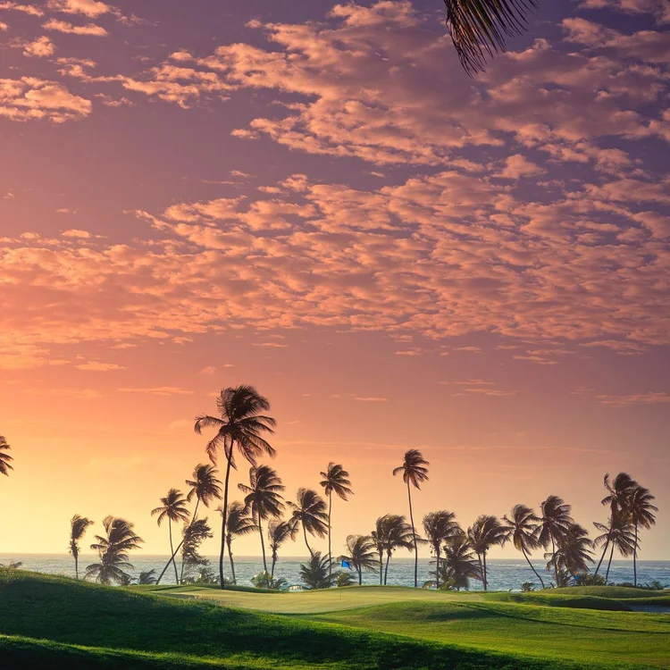 Magdalena Grand Beach & Golf Resort