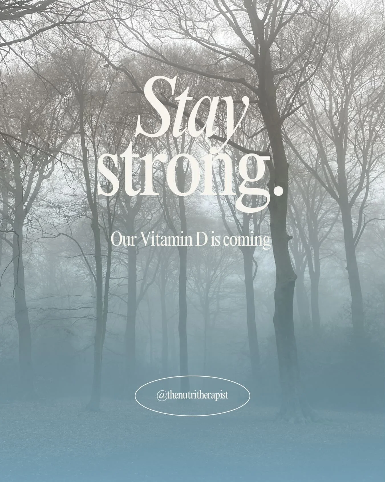 If you live in the UK, you might have caught a few sunny spring days and suddenly everyone seemed alive again! And then&hellip; back to cold, misty, rainy reality (and today so windy!).

We&rsquo;re also told it&rsquo;s that time of year when we can 