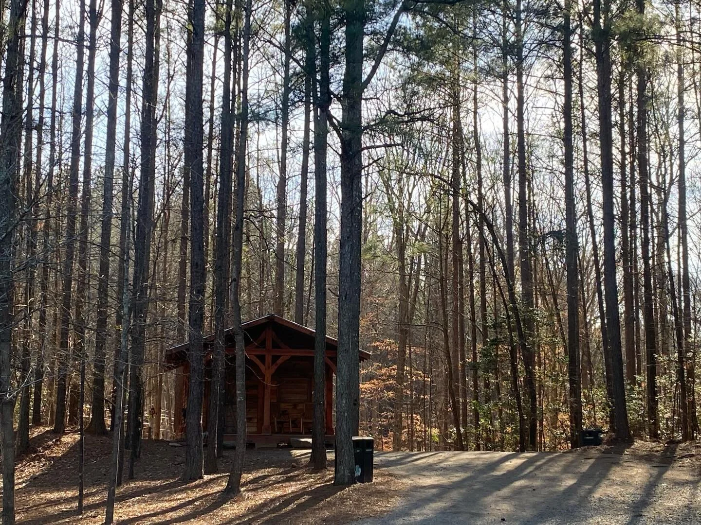 Over 10 years ago, thanks to my brother who lives in North Carolina, I went to see a Nutritional Therapist.

At the time, I was exhausted, in pain, experiencing blood in my stool and running to the toilet up to 15 times a day. 

I felt hopeless.

Inf