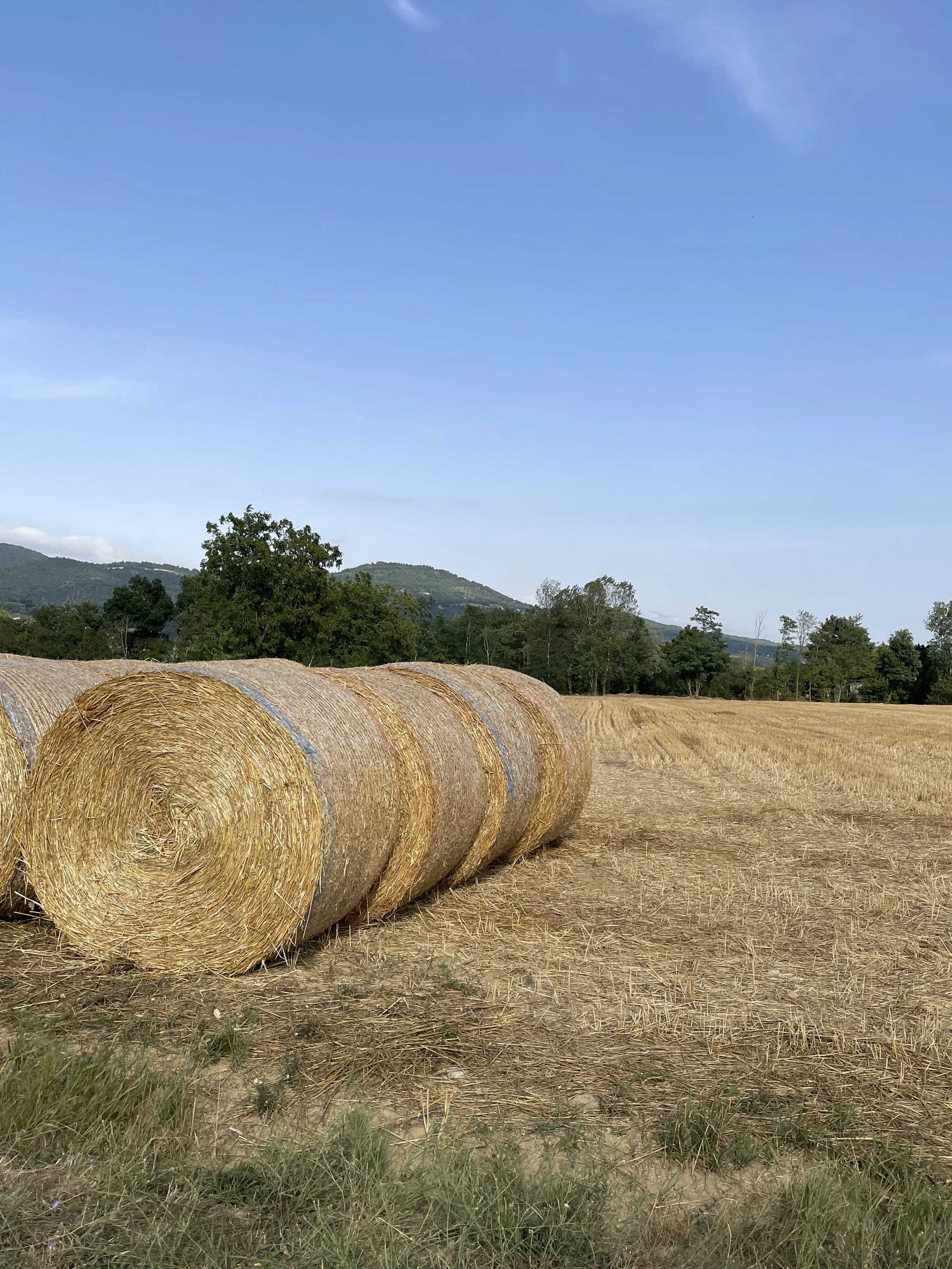WellnessRetreat_Countryside-Tuscany_01.jpg