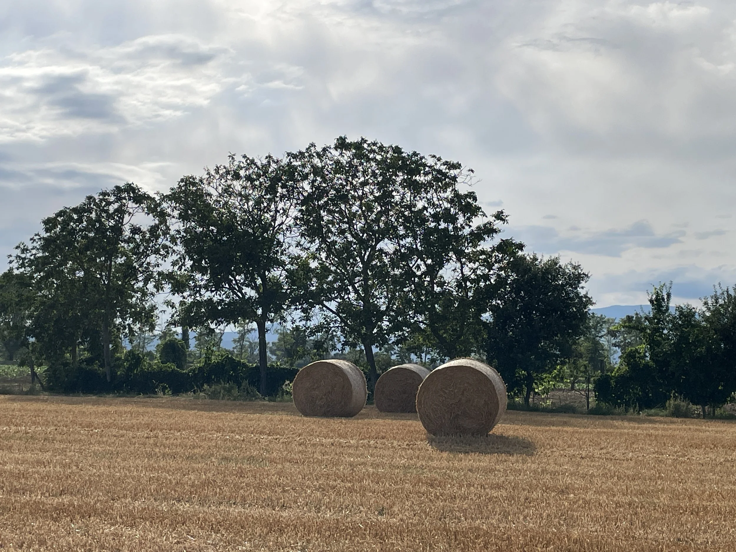 WellnessRetreat_Countryside-Tuscany_02.jpg