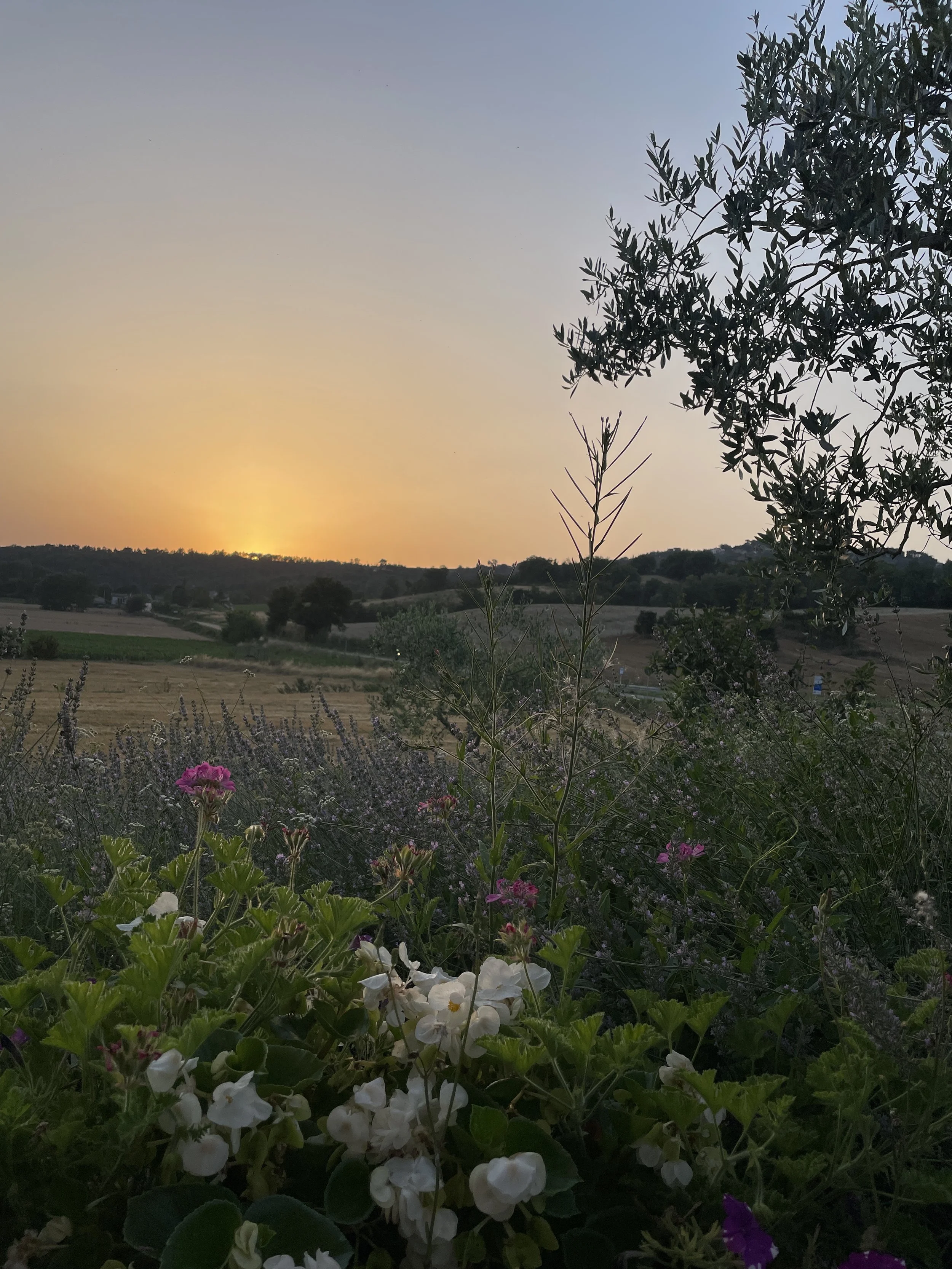 WellnessRetreat_Sunset-Countryside_01.jpg