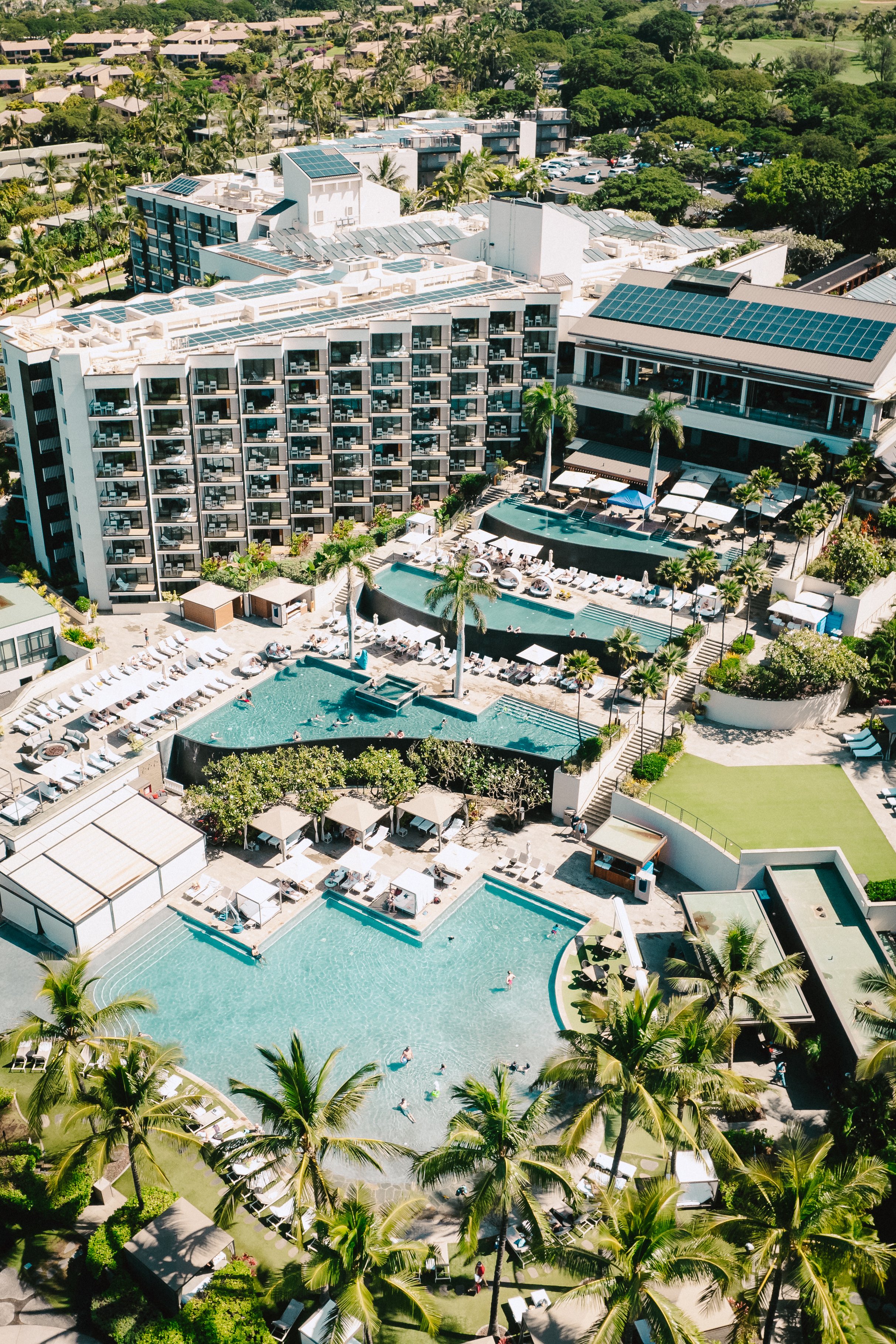 DJI_0195.jpg