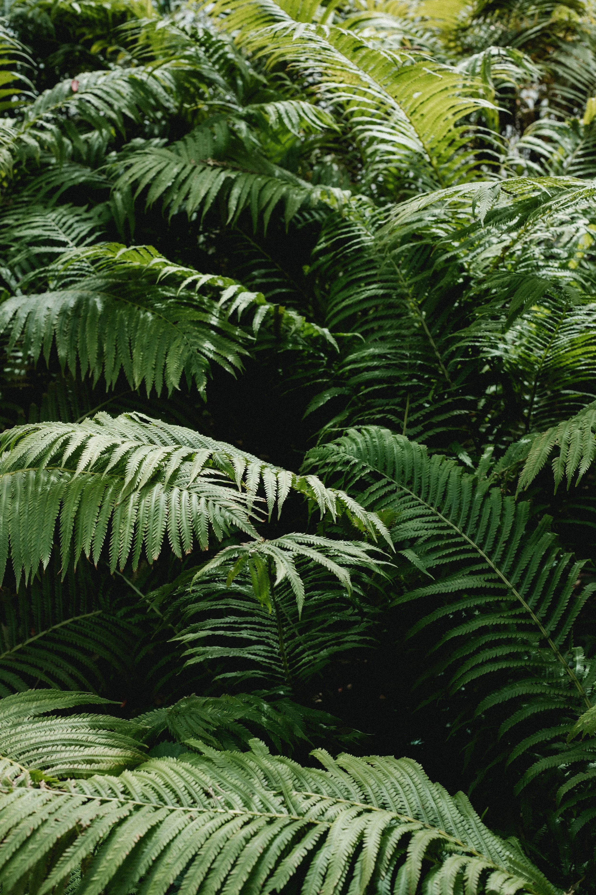 A48I7061.jpg