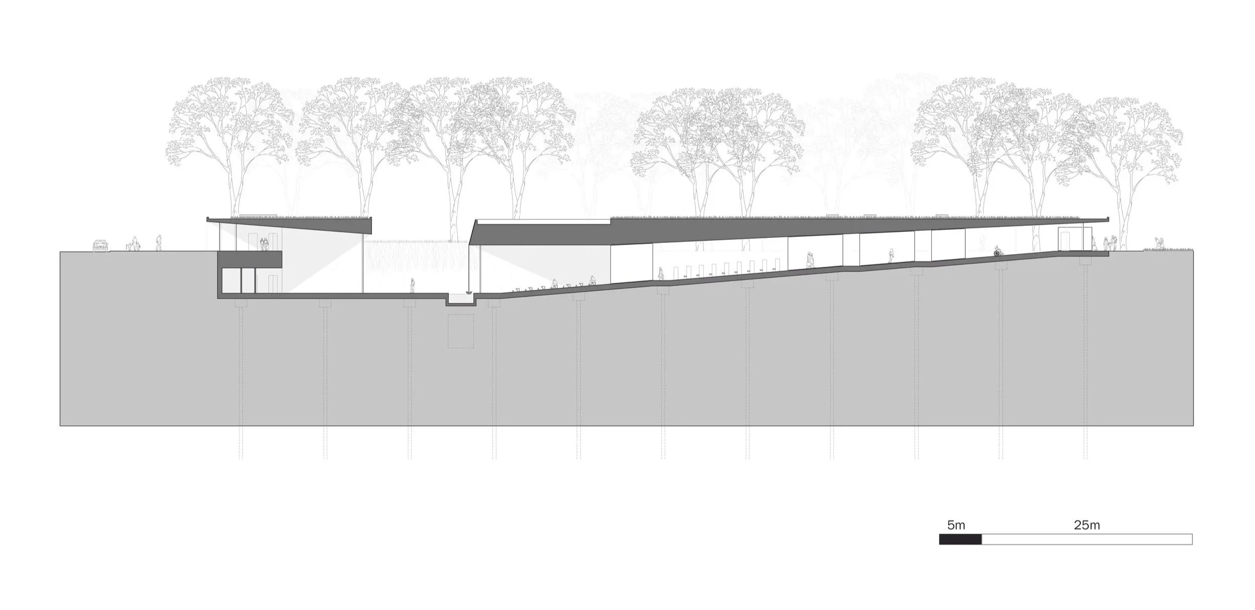 Long section of the Submerged Mosque proposal designed by SOCA