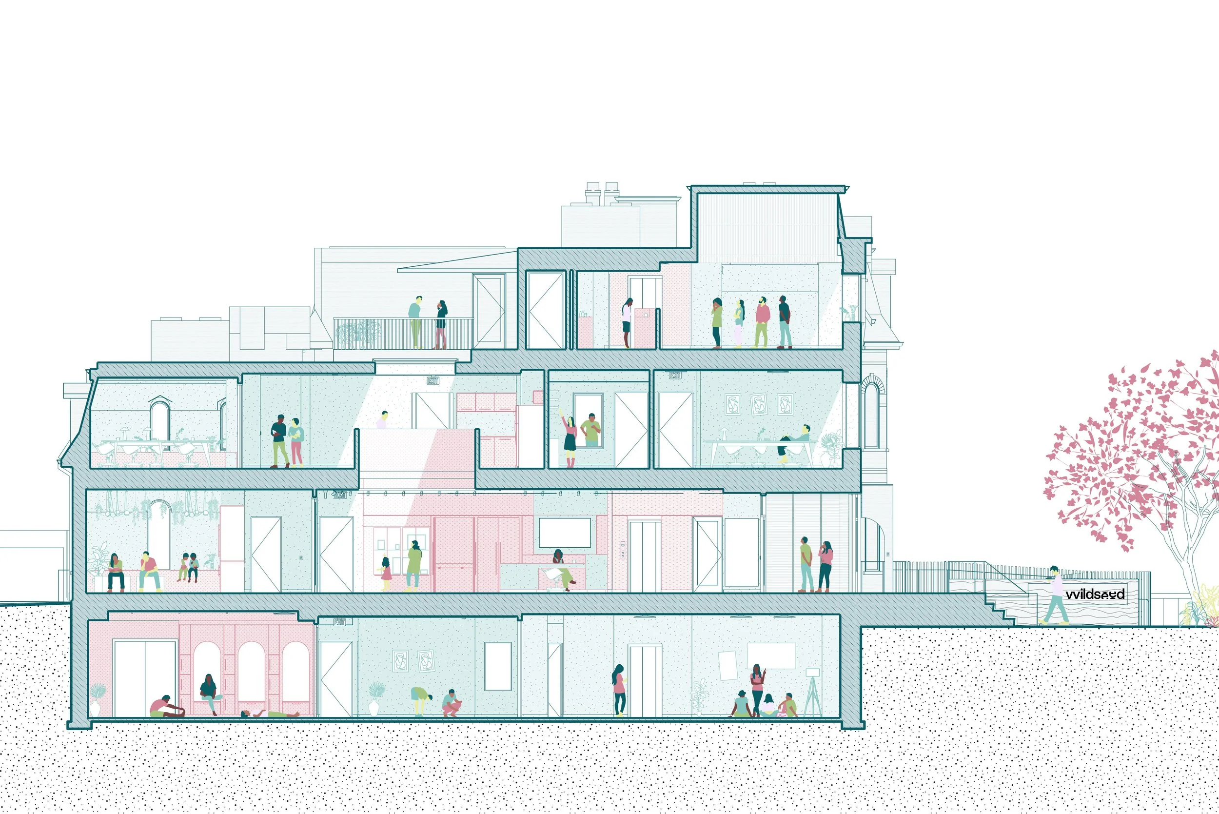 Section View of the Wildseed Centre for Art and Activism designed by SOCA