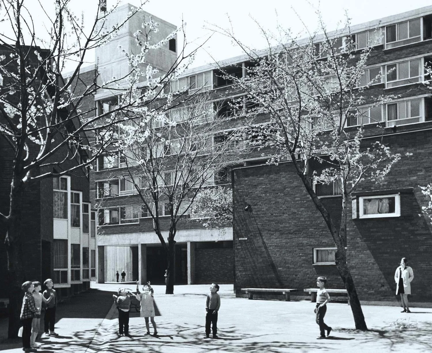 Archival image of Toronto's Alexandra Park. Photo credits to Roger Jowett held in the City of Toronto Archives
