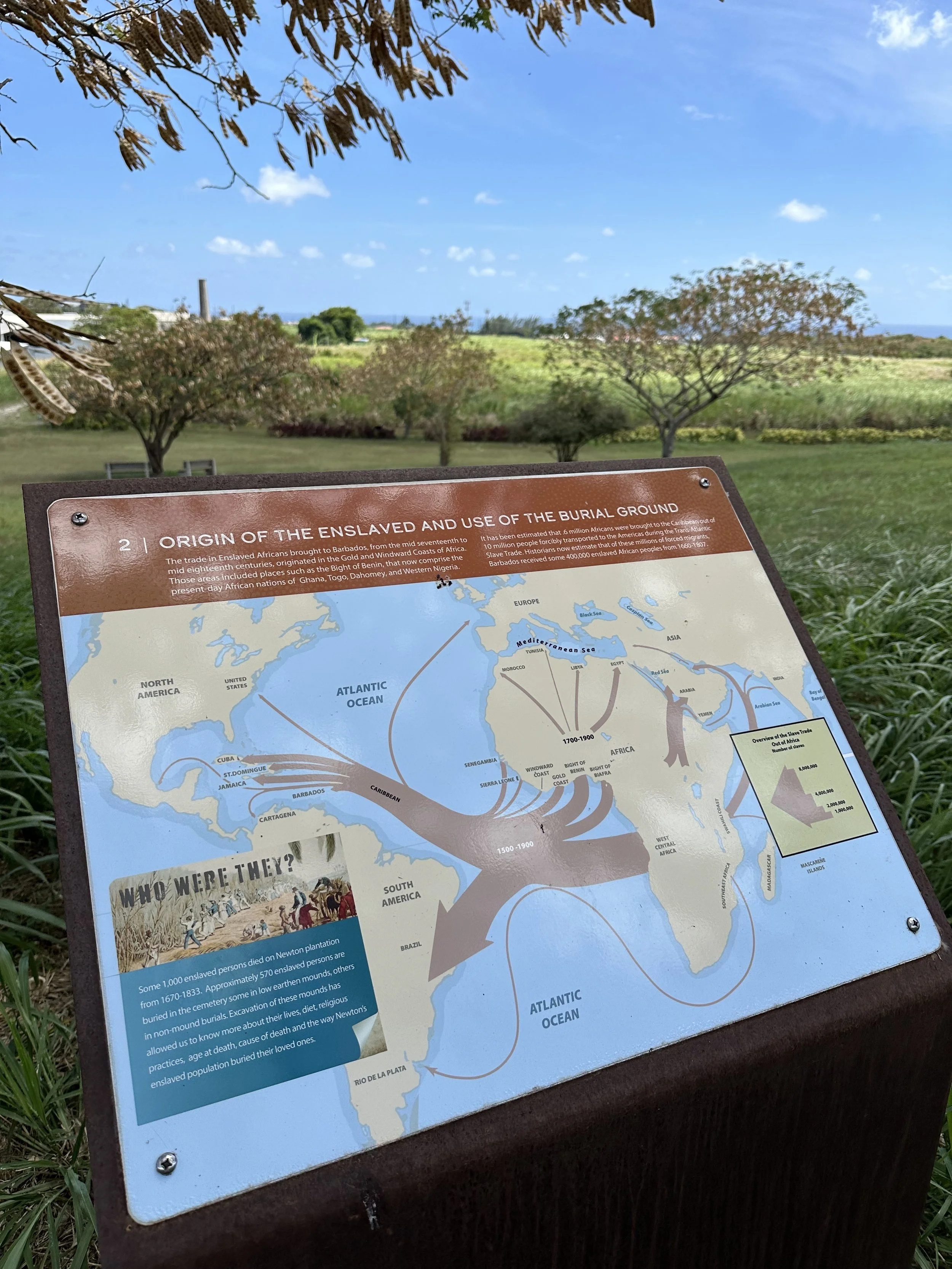 Image of the Newton Slave Burial Ground in Barbados for the Black Community Resilience Project developed by SOCA