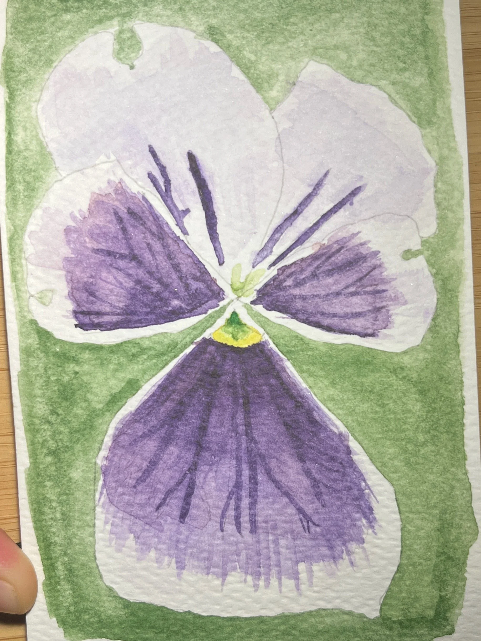 pansy watercolor study