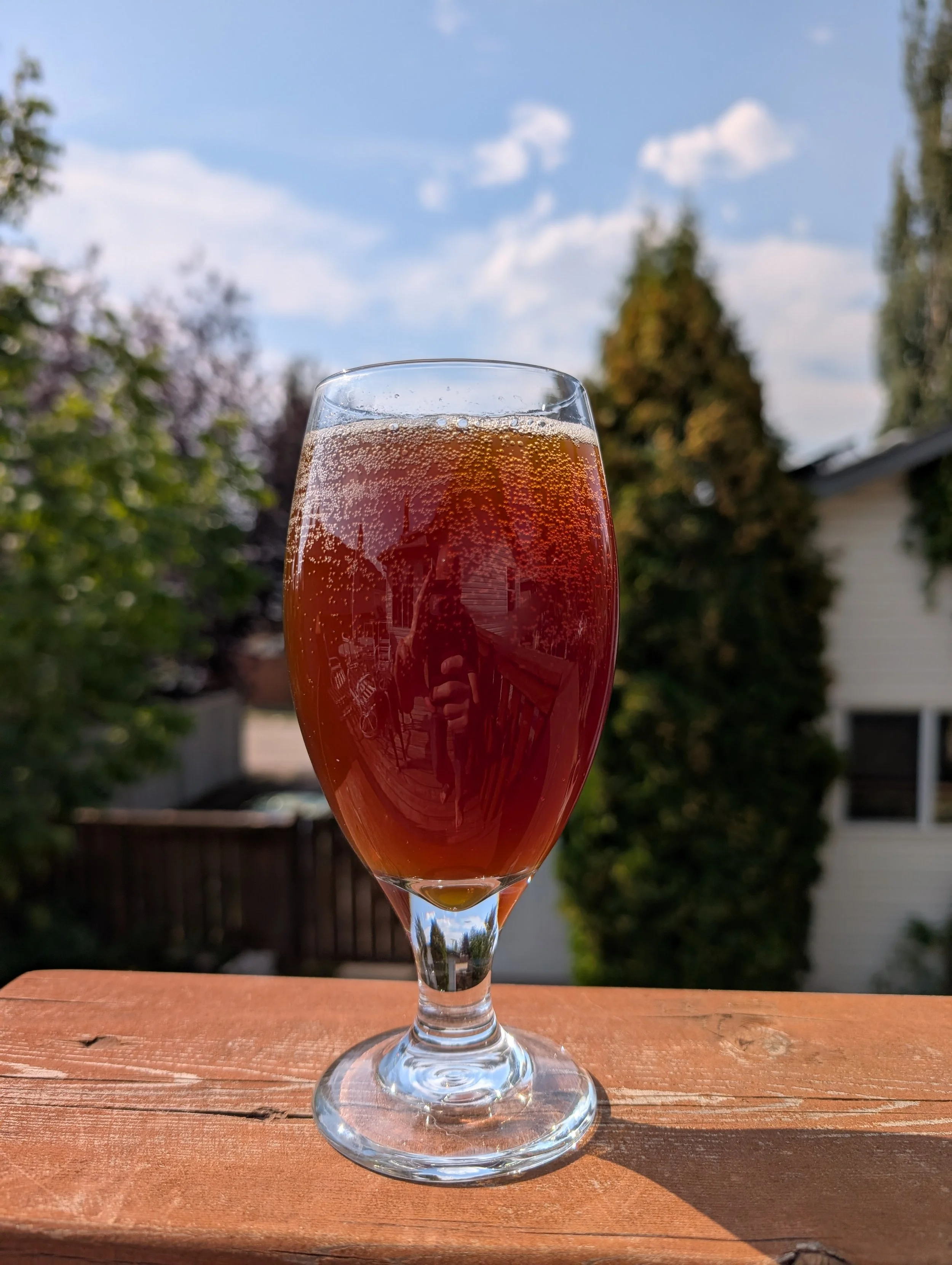 Bare Bones in Glass.jpg