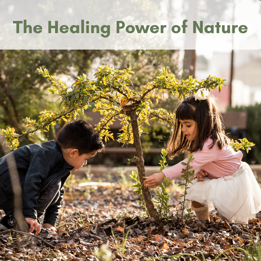 The Healing Power of Nature