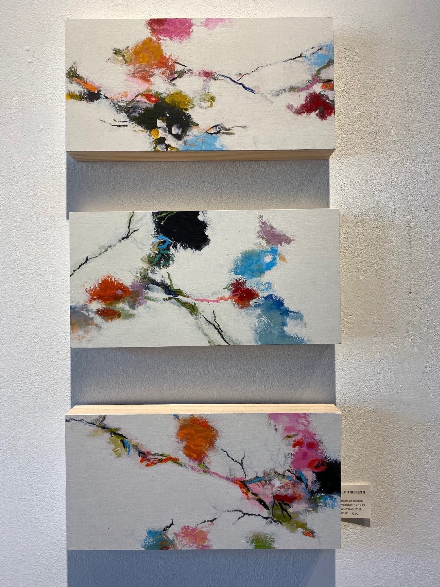 Nest Series, 2019, mixed media on panel, each 6 x 12 in. AVAILABLE through Judy Ferrara Gallery. Please, email judyferrara@gmail.com for inquiries.