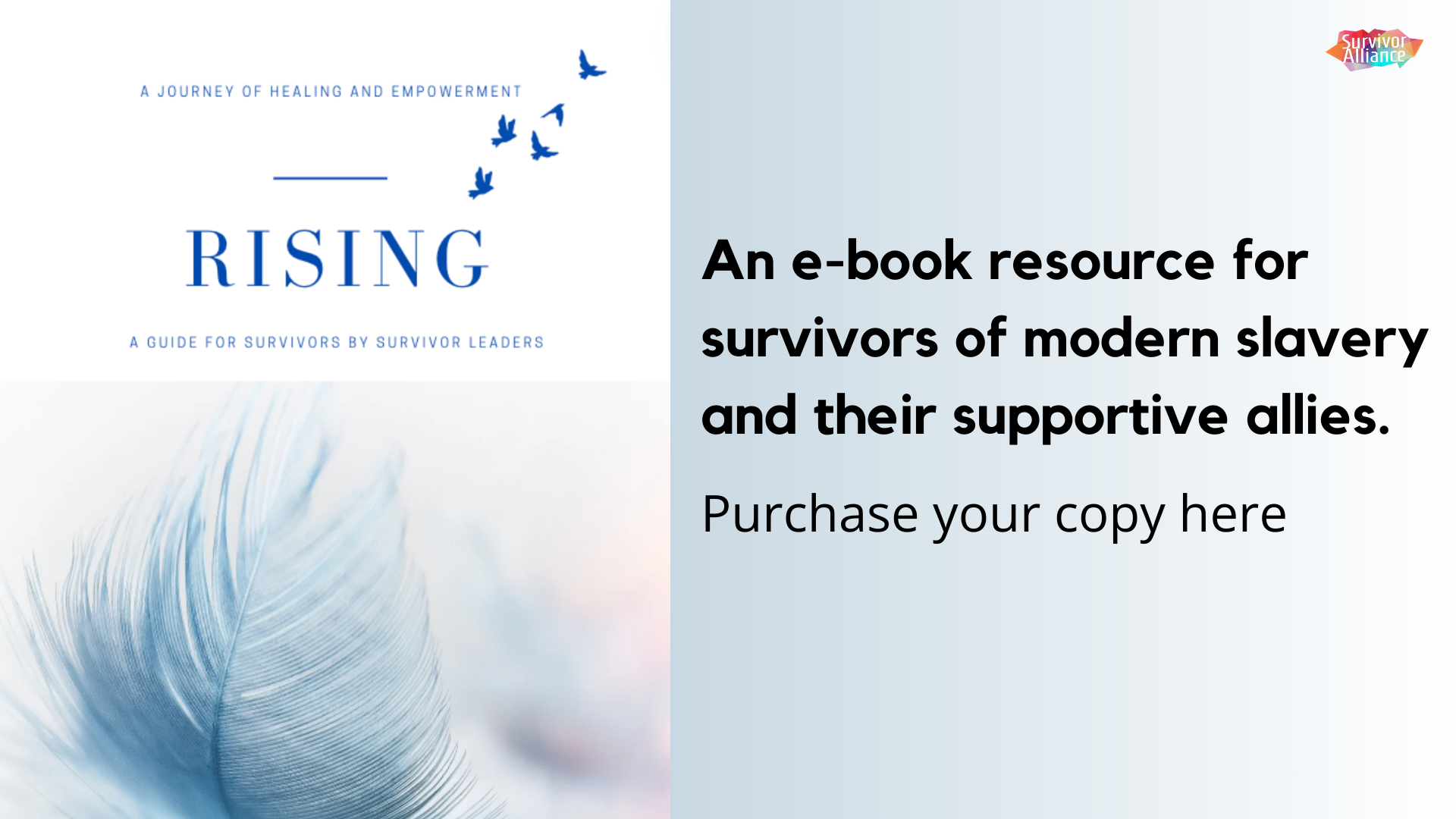 Purchase your copy now!.png