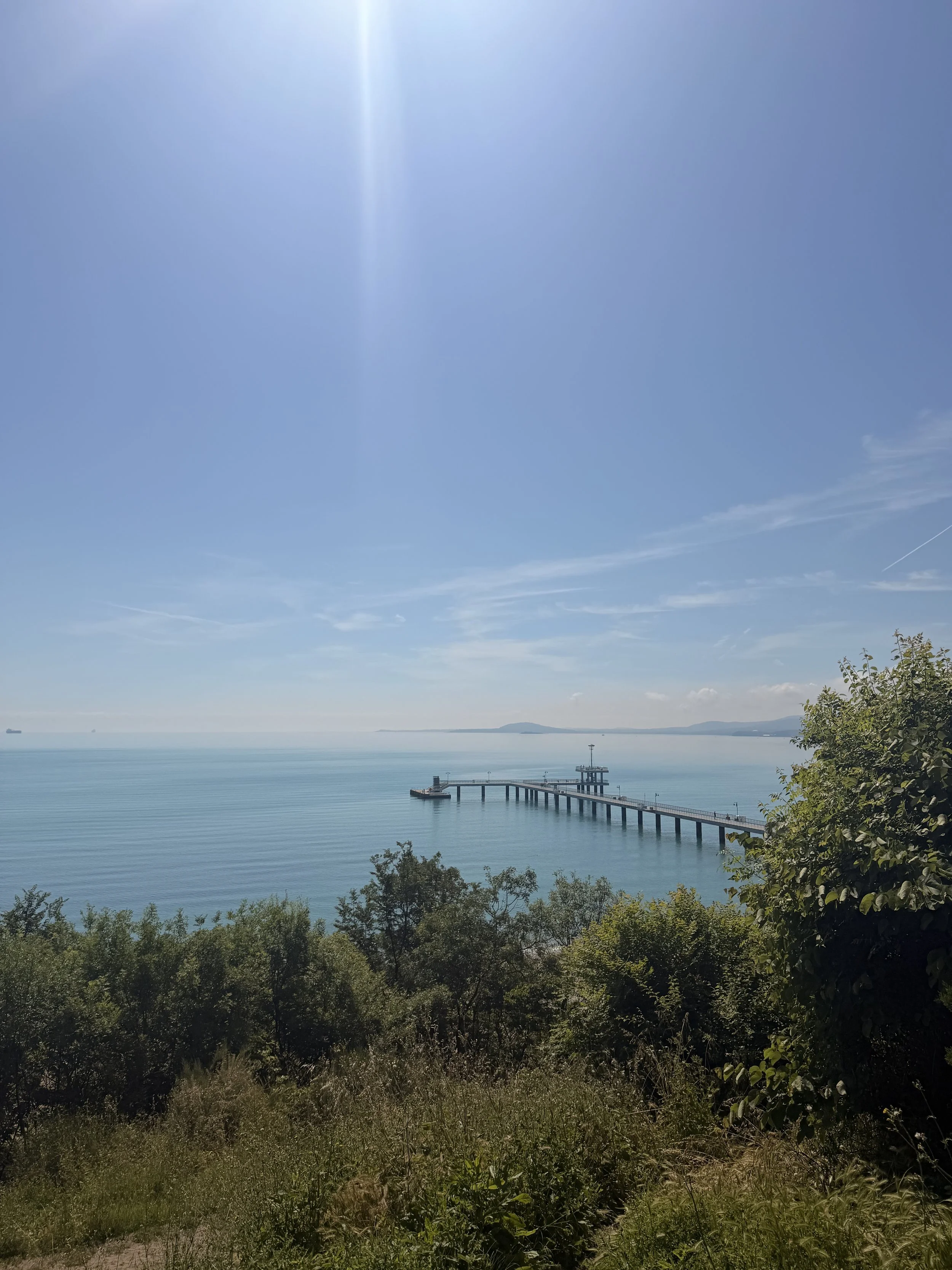 IMG_6310.jpeg