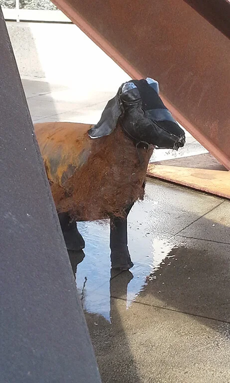 iron sheep.jpg