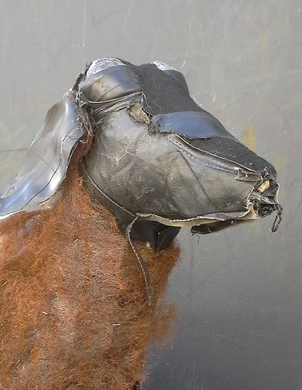 Sheep Head.jpg