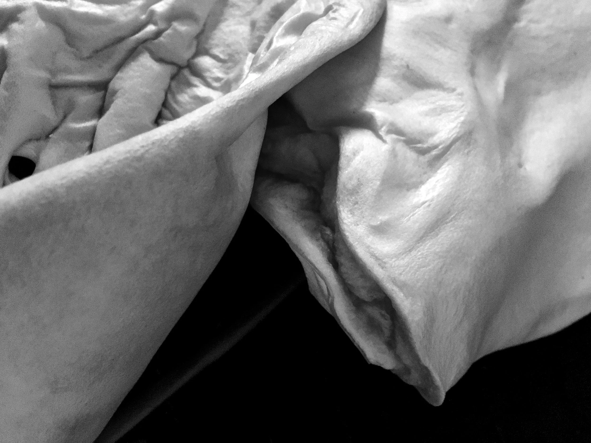 Cow Ear Series
