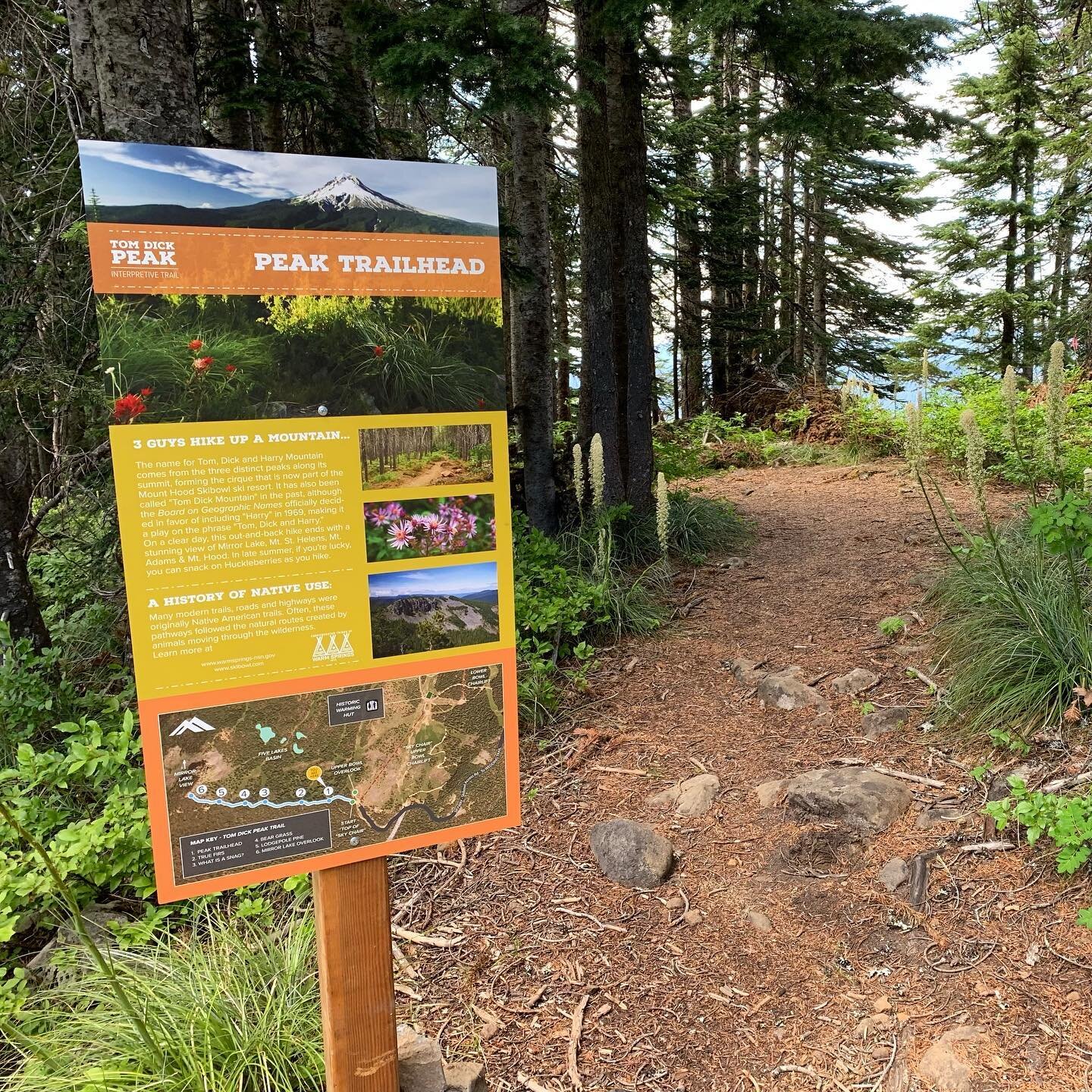 I&rsquo;m so excited to finally see this project out in the wild. It&rsquo;s been a blast working with the amazing, one-of-a-kind Frances Martinez to take her vision for Mt Hood Skibowl&rsquo;s interpretive trails to the next level. We aimed to provi