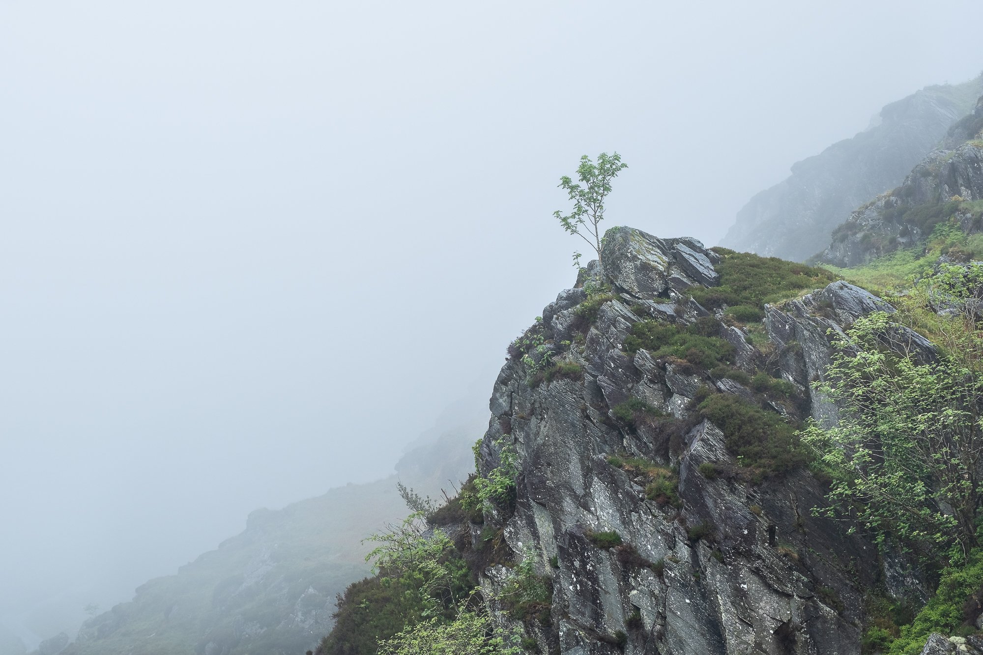 A landscape photo of a lone tree on the edge of a hill taken in Snowdonia by Trevor Sherwin