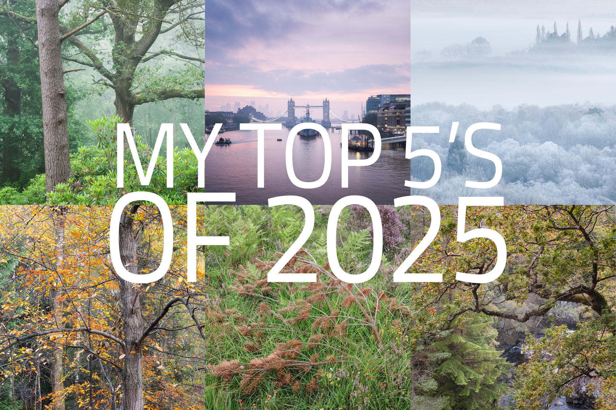 My Top 5’s of 2025