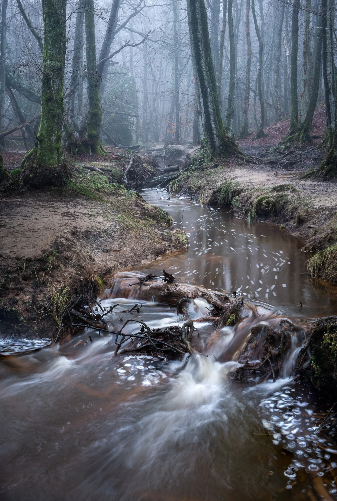 #90 Cascading Brook