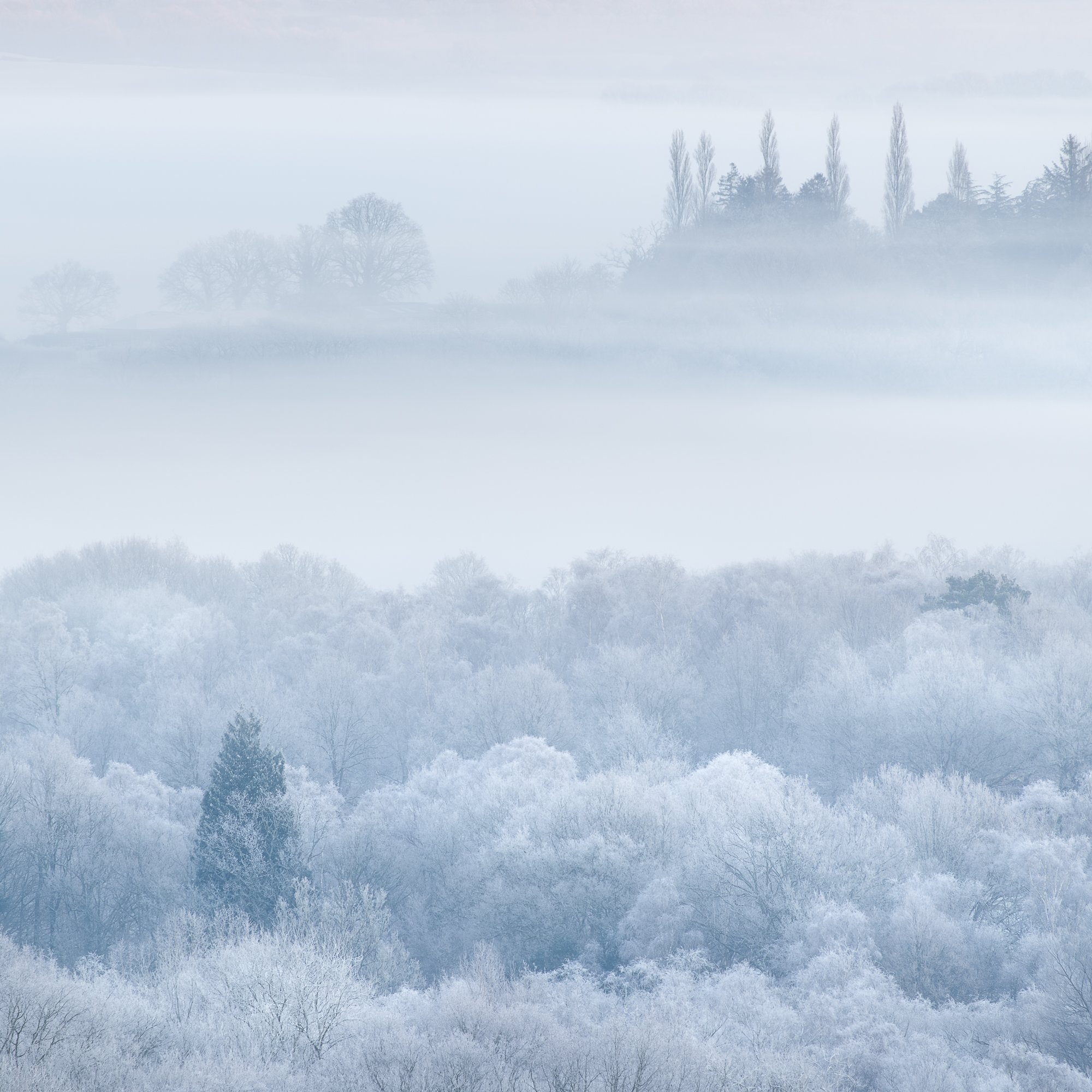 A wintry, misty landscape by Trevor Sherwin
