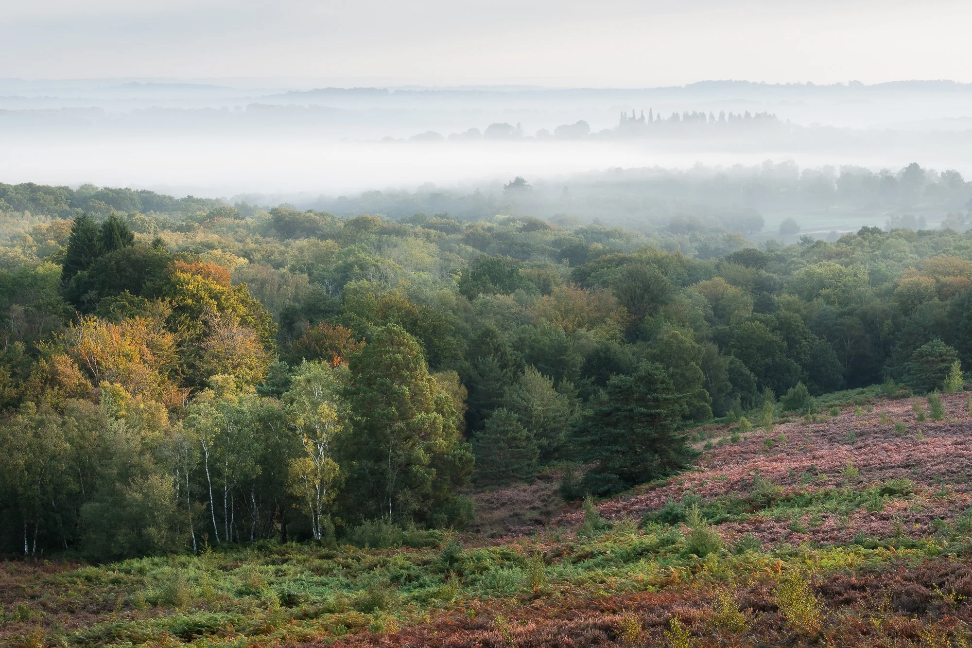 A misty autumn landscape taken by Trevor Sherwin