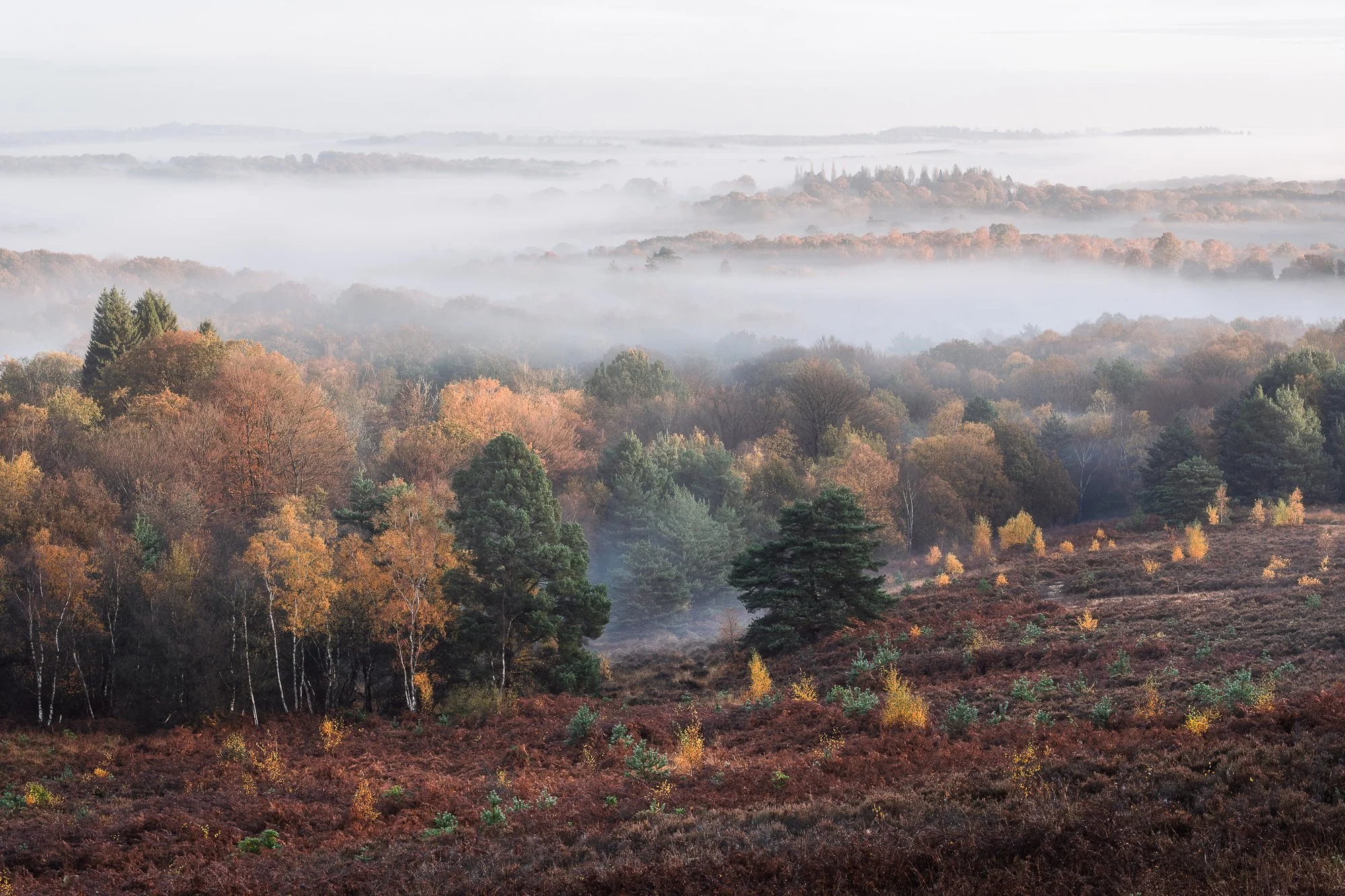 A misty autumn landscape taken by Trevor Sherwin