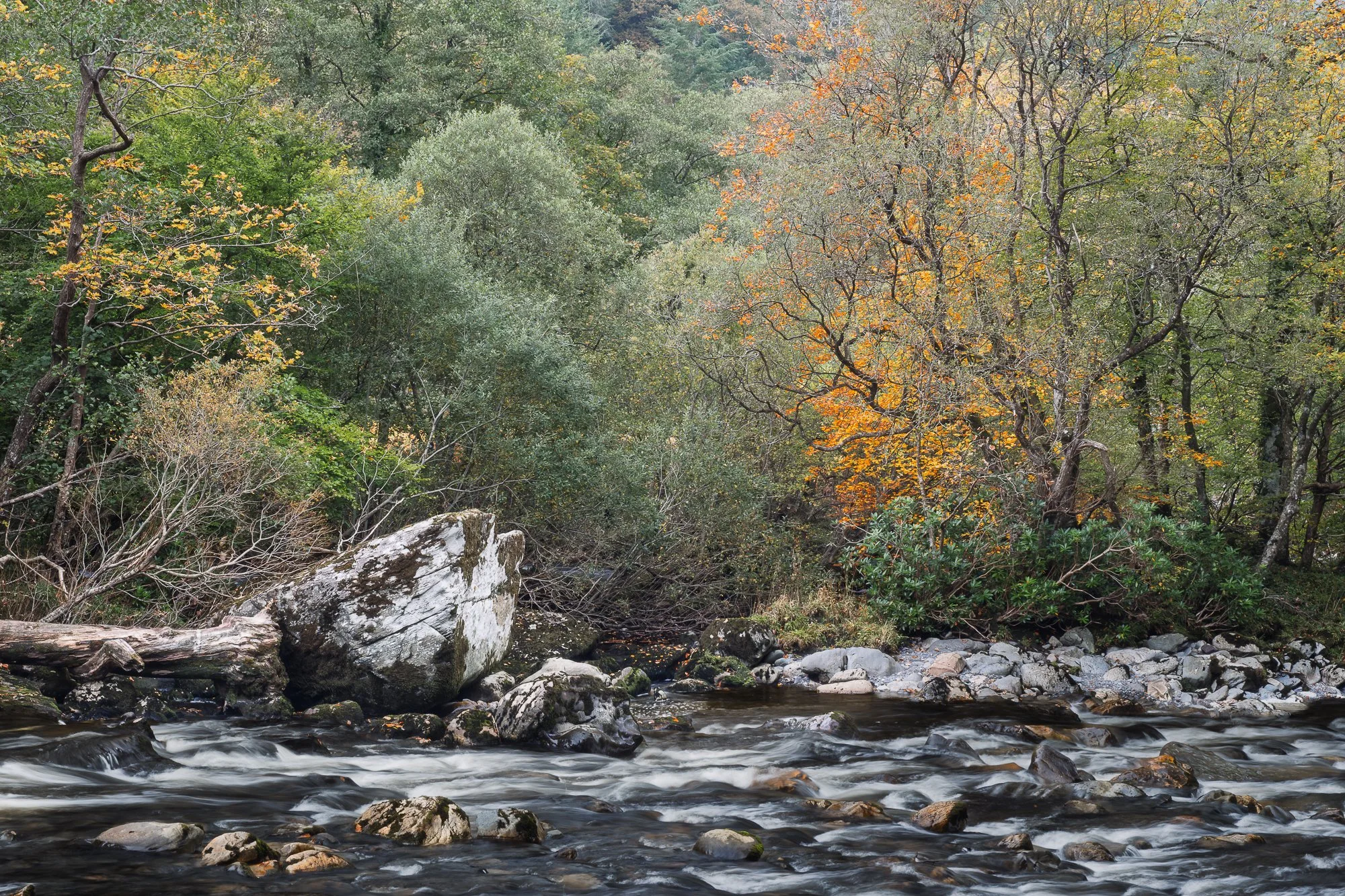 A river side scene in Snowdonia during autumn taken by Trevor Sherwin