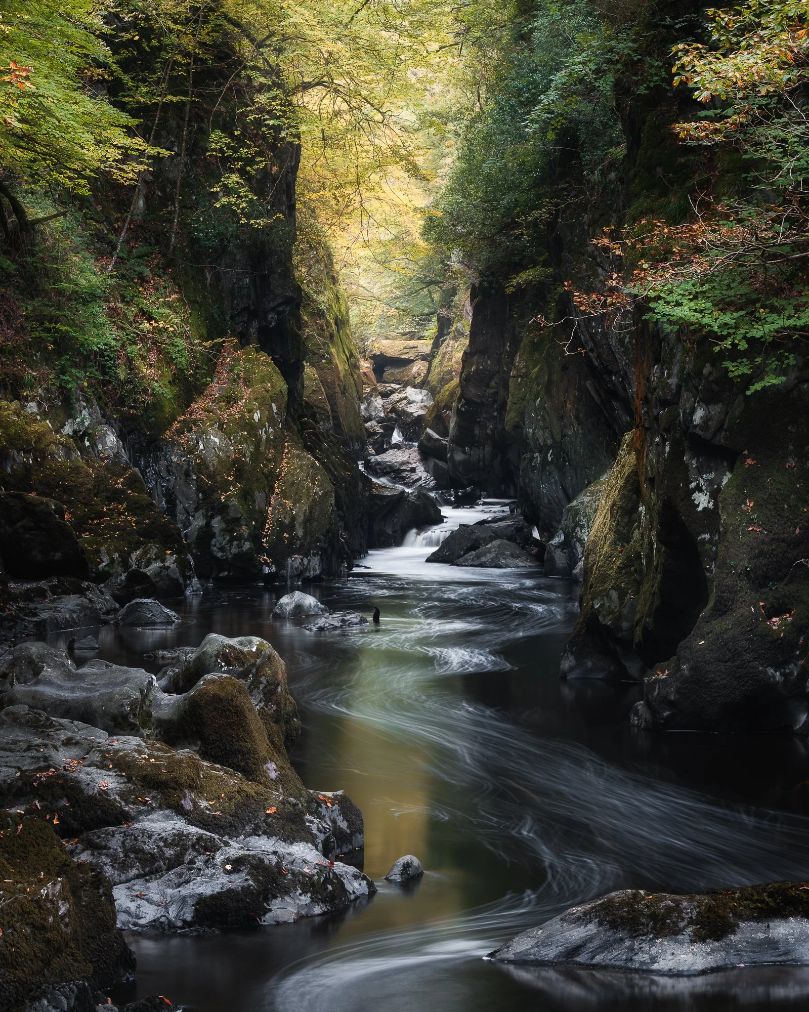 A photo of Ffos Anoddun or Fairy Glen taken in Autumn by Trevor Sherwin