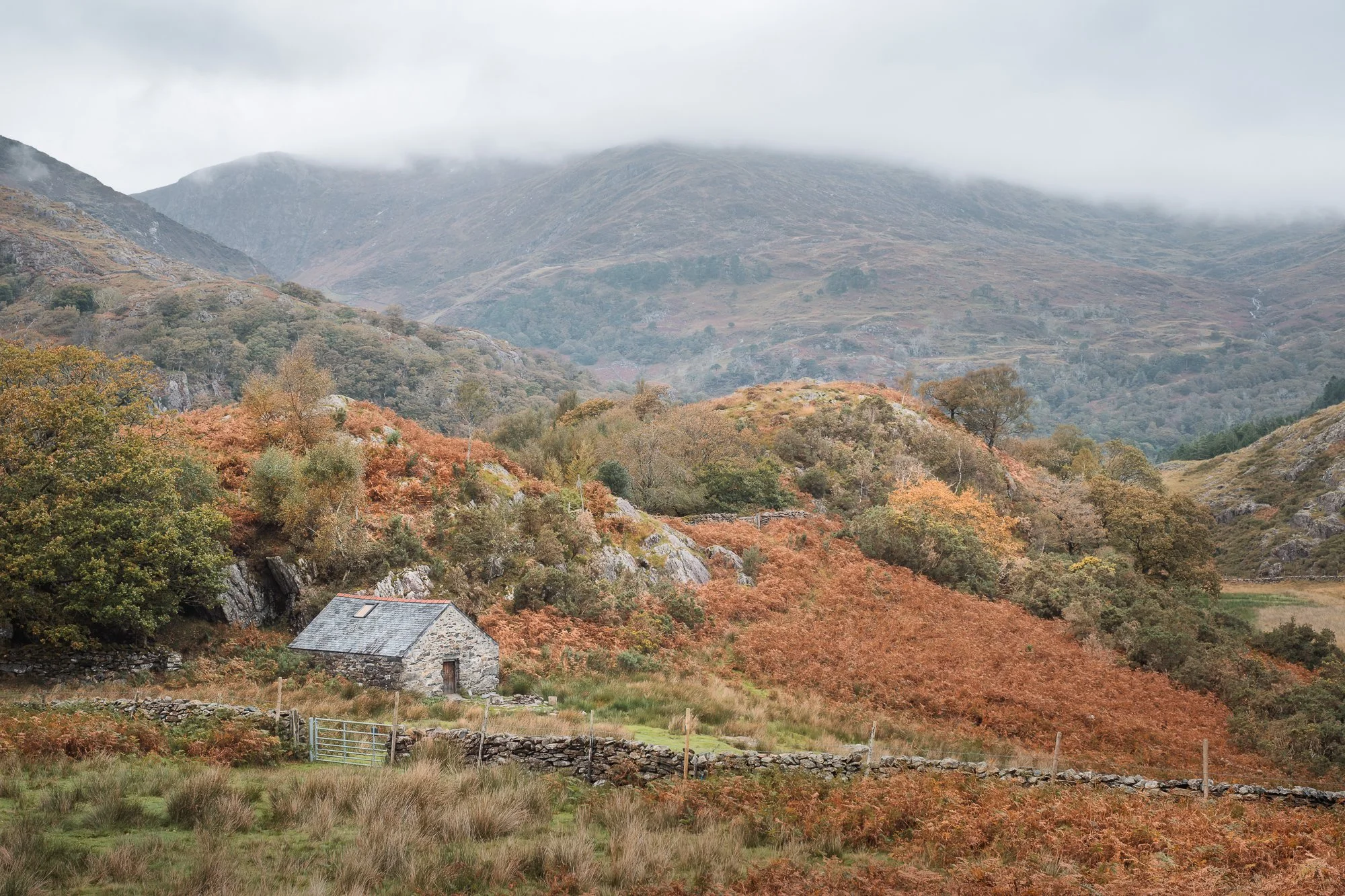 A stone cottage nestled in the autumn Snowdonia landscape taken by Trevor Sherwin