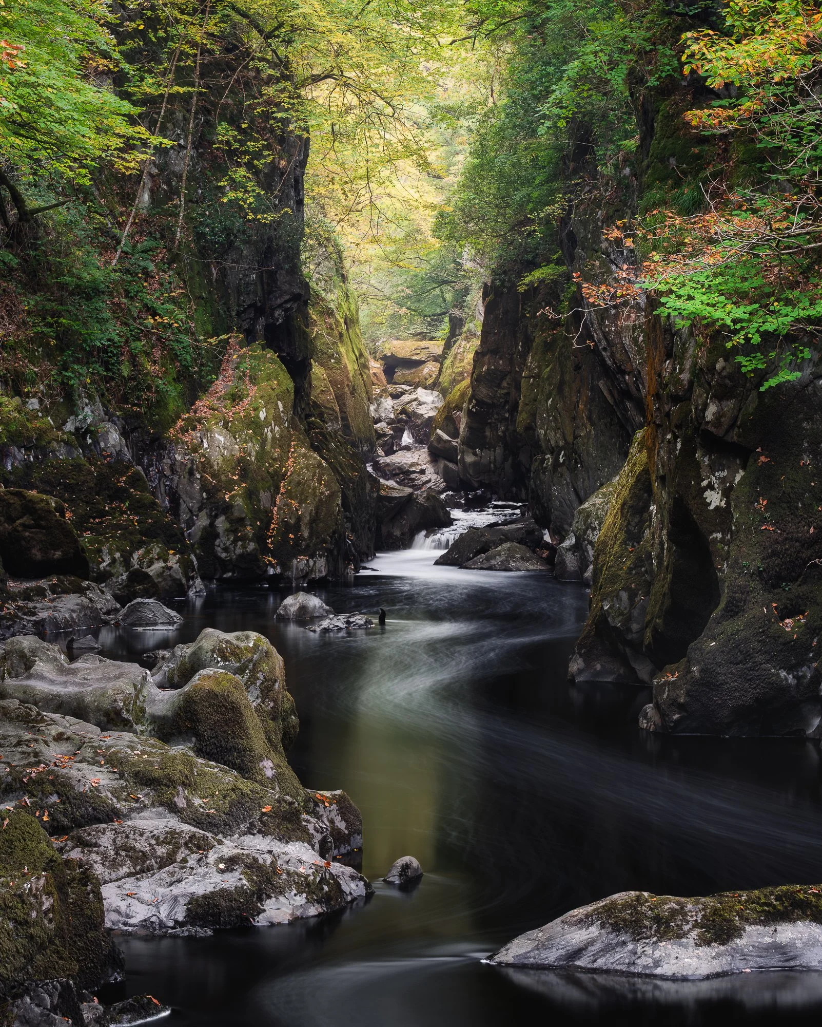 A photo of Ffos Anoddun or Fairy Glen taken in Autumn by Trevor Sherwin