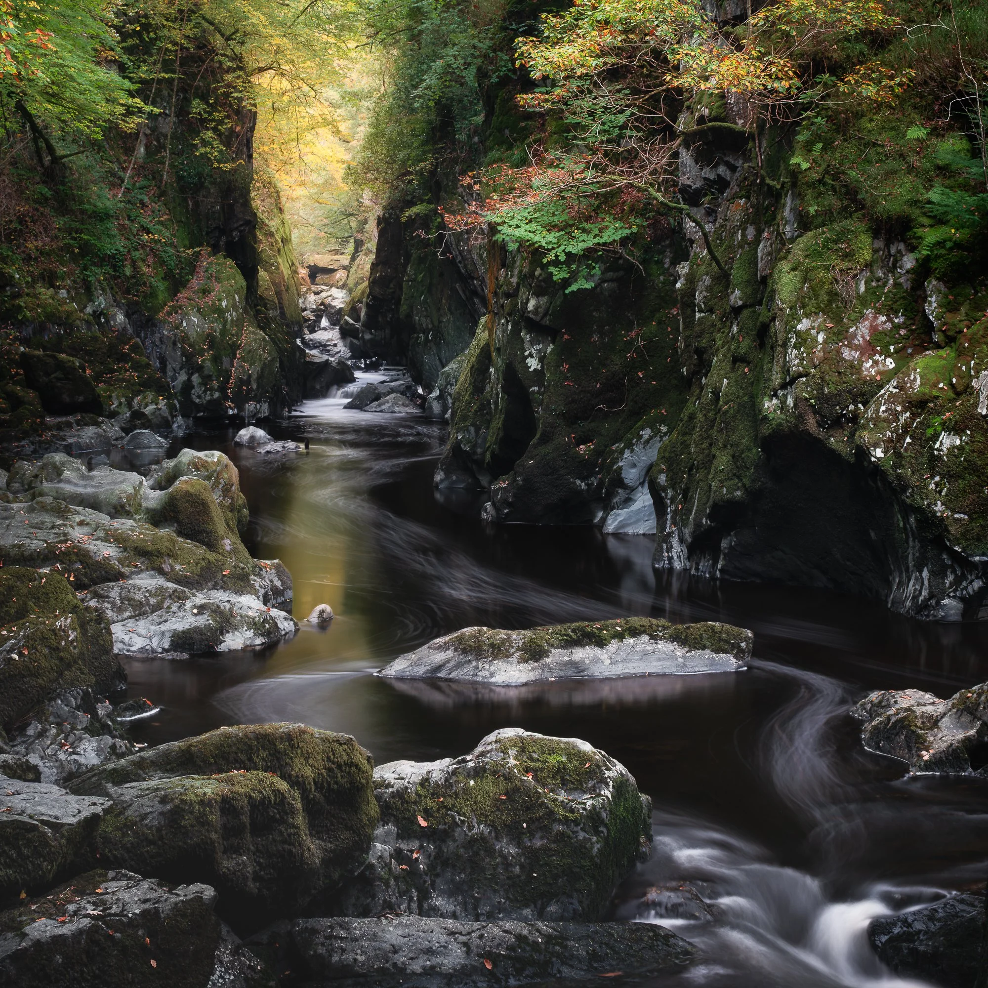 A photo of Fairy Glen and the River Conwy running through in Autumn taken by Trevor Sherwin