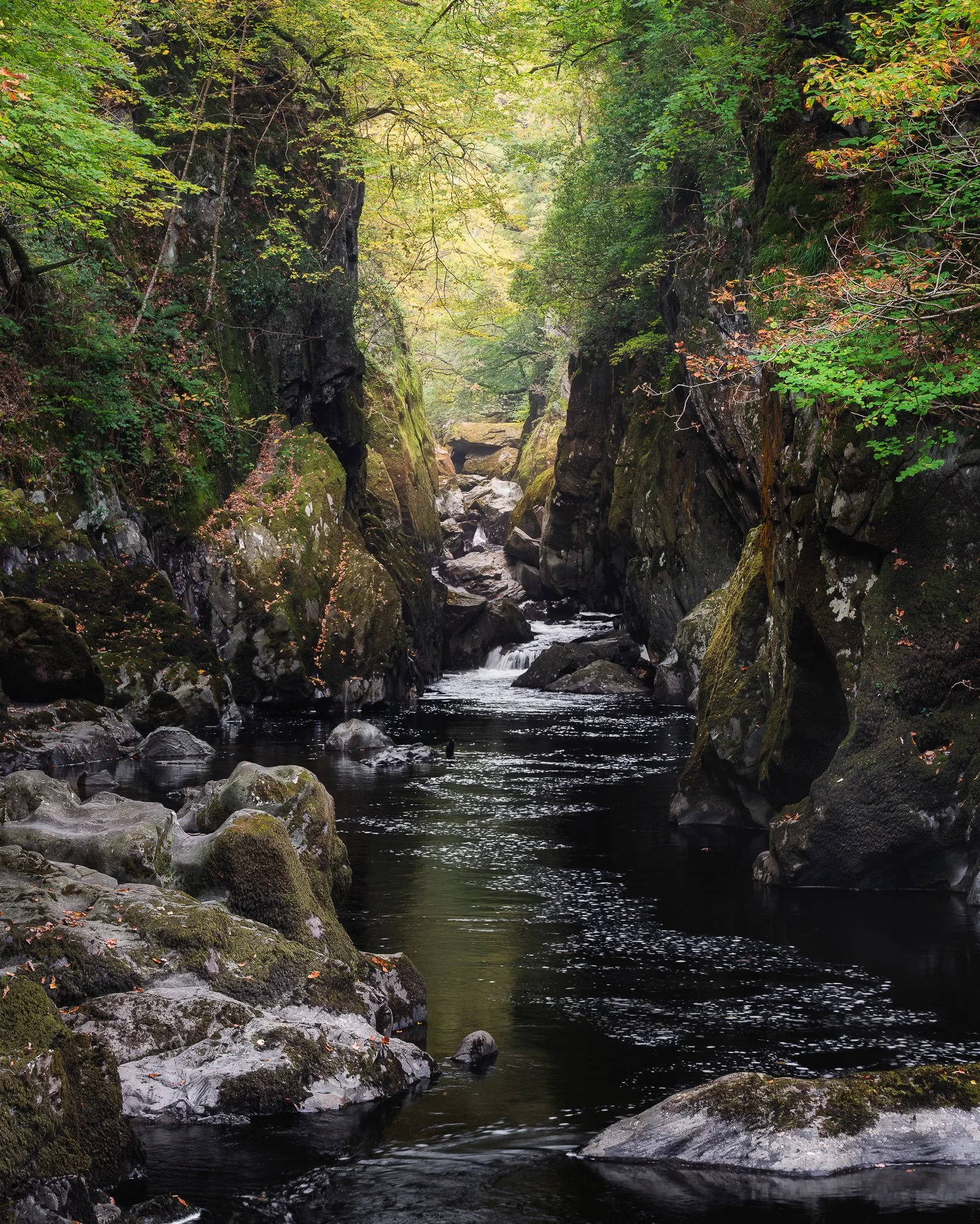 A photo of Ffos Anoddun or Fairy Glen taken in Autumn by Trevor Sherwin