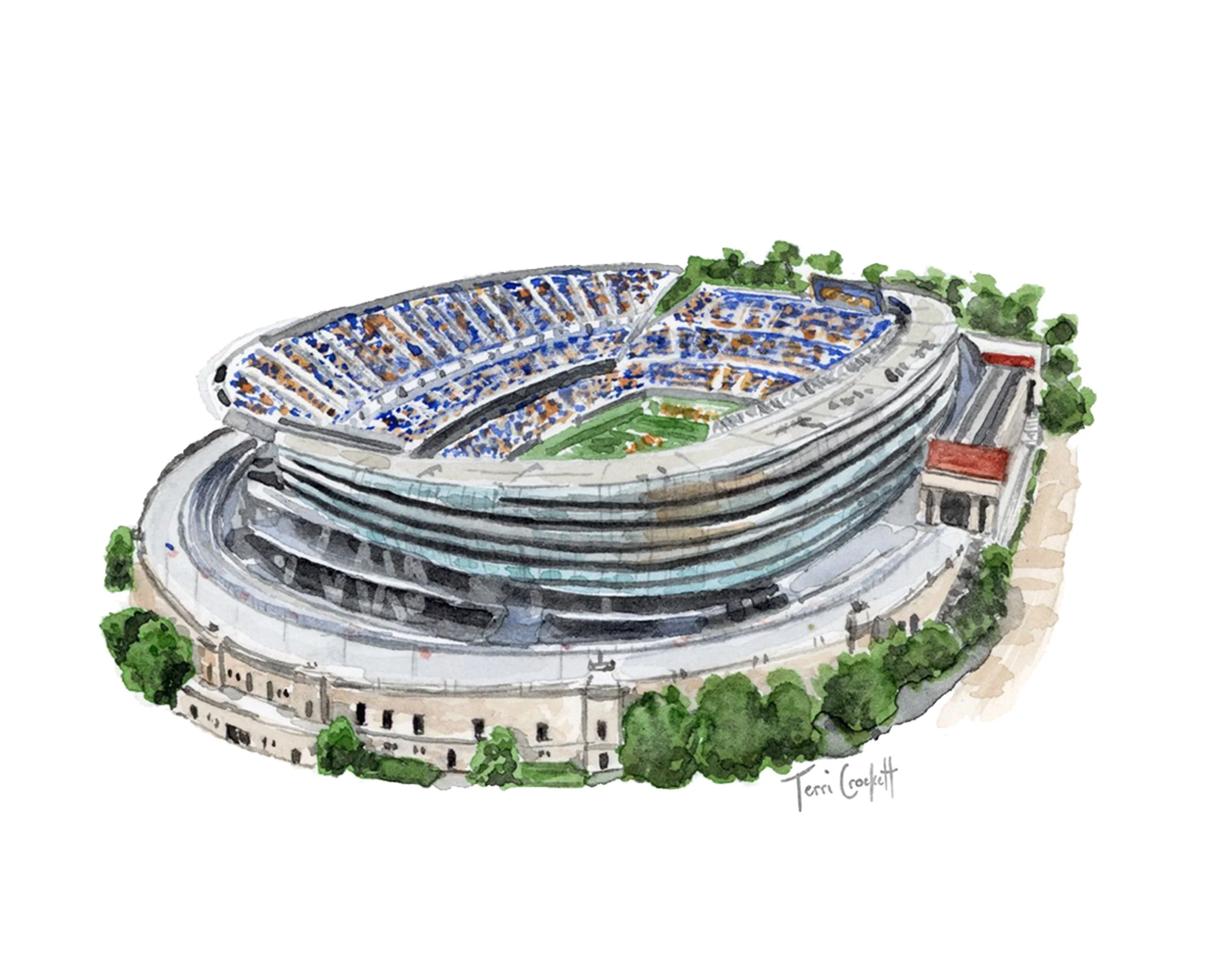 8x10 enlarged soldier field.jpg