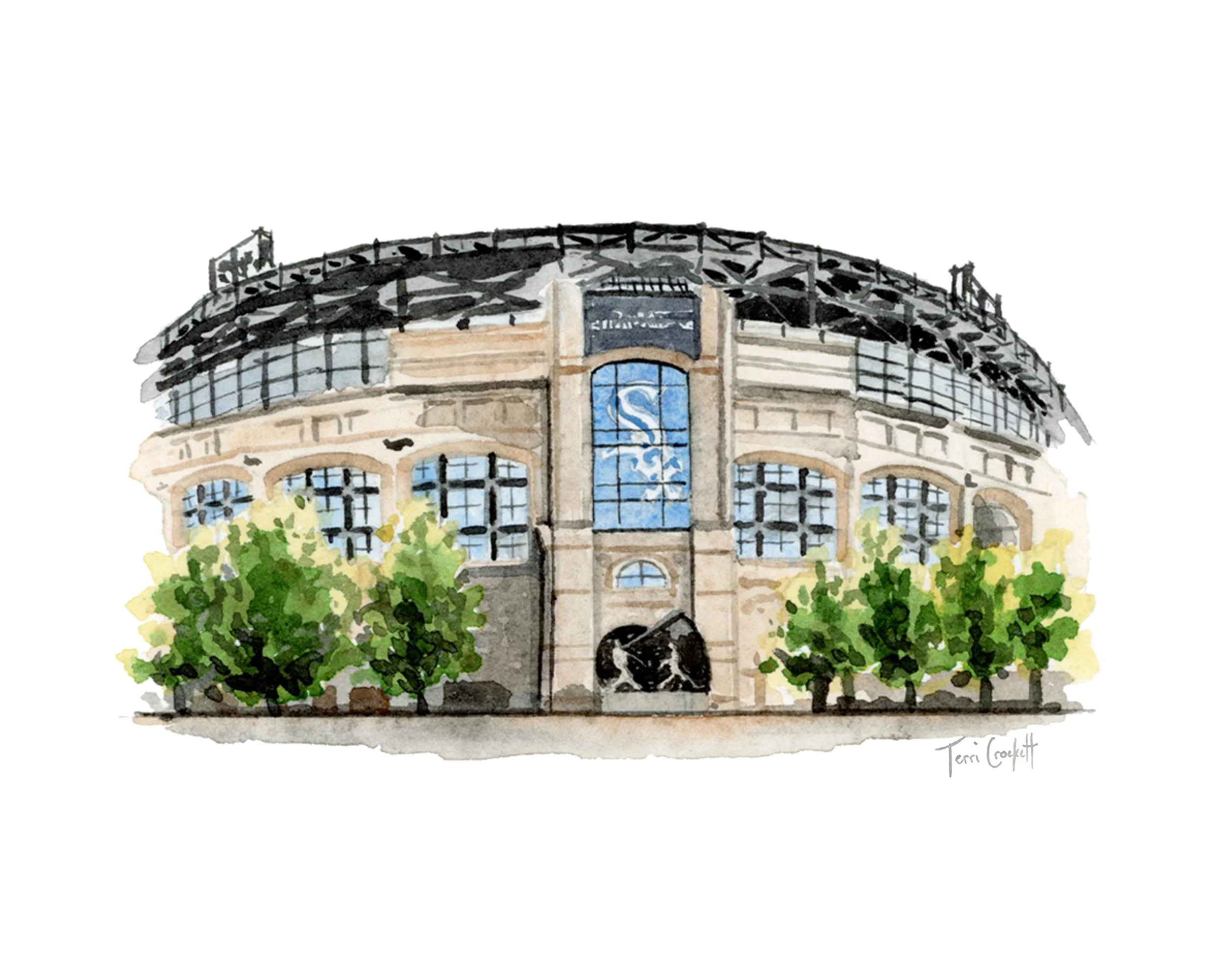 8x10 enlarged white sox b.jpg