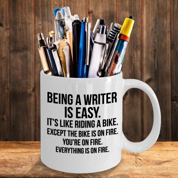Why Would Anyone Write a Novel?