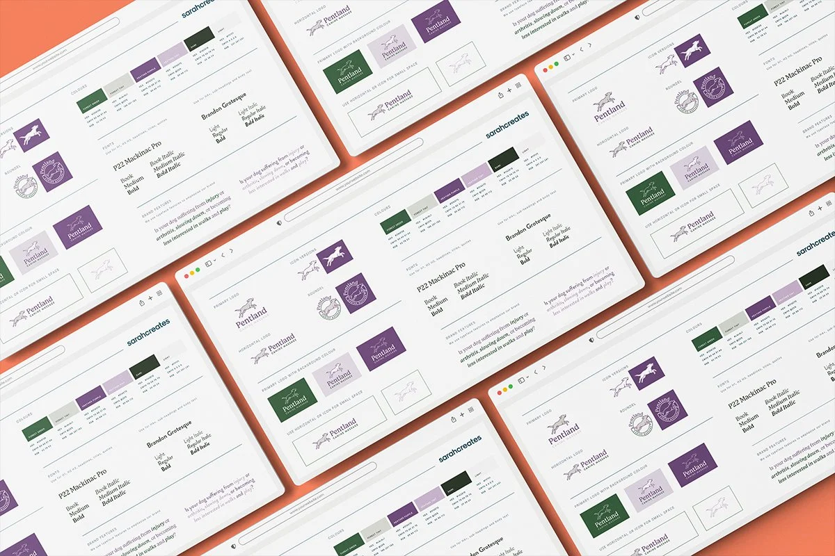 design-branding-logo-style-guide-package-service in scotland, edinburgh, uk