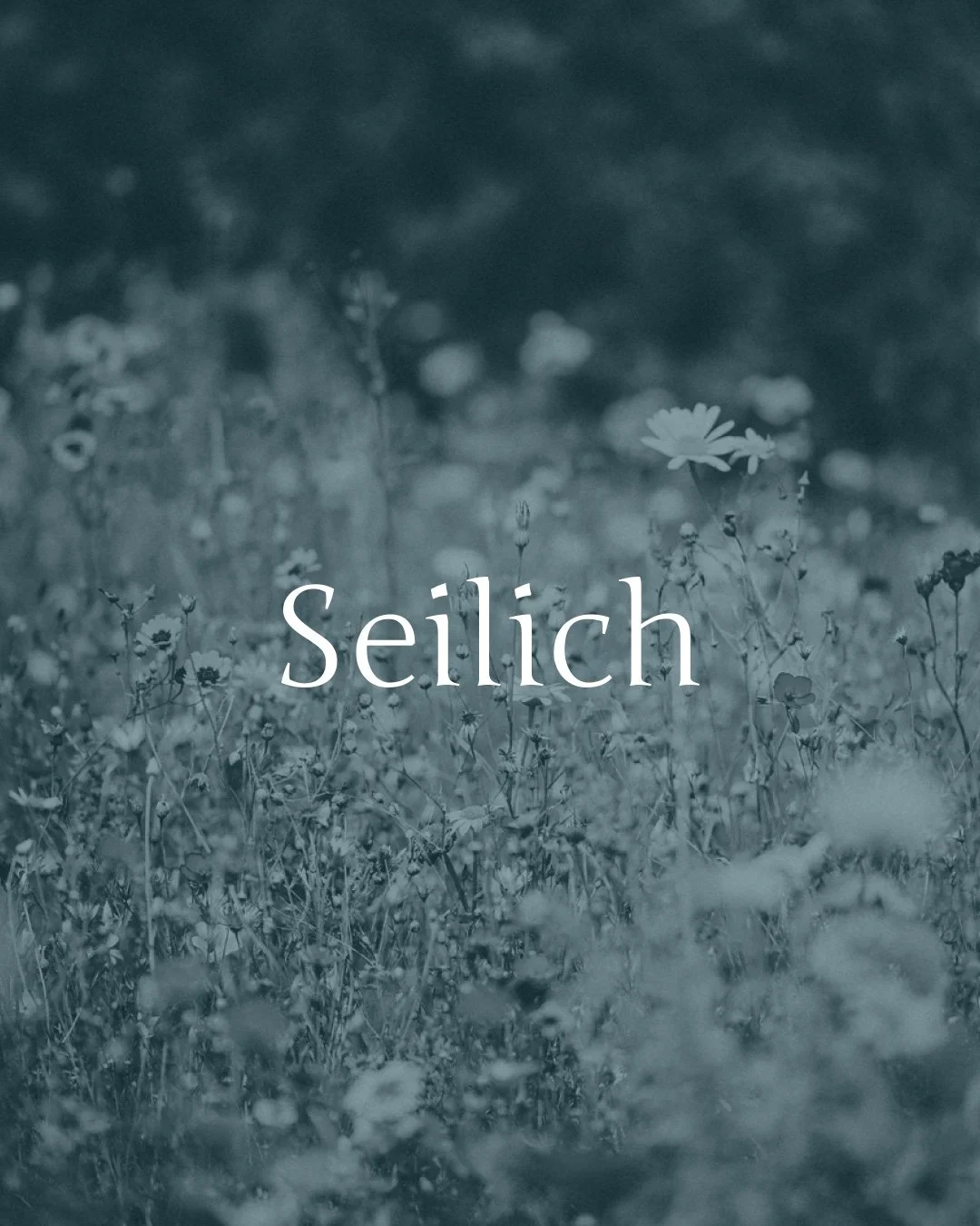 Seilich Botanicals