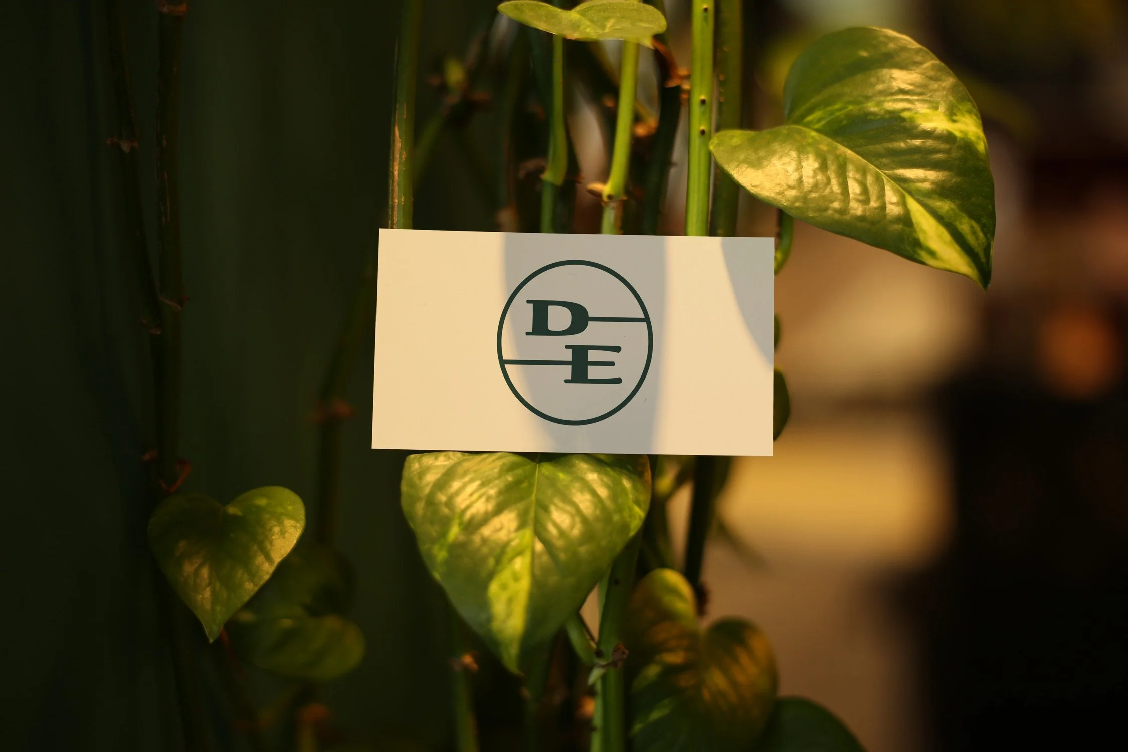 logo redevelopment shown on off-white card and in plant, spade and shovel handle as characters typographic design