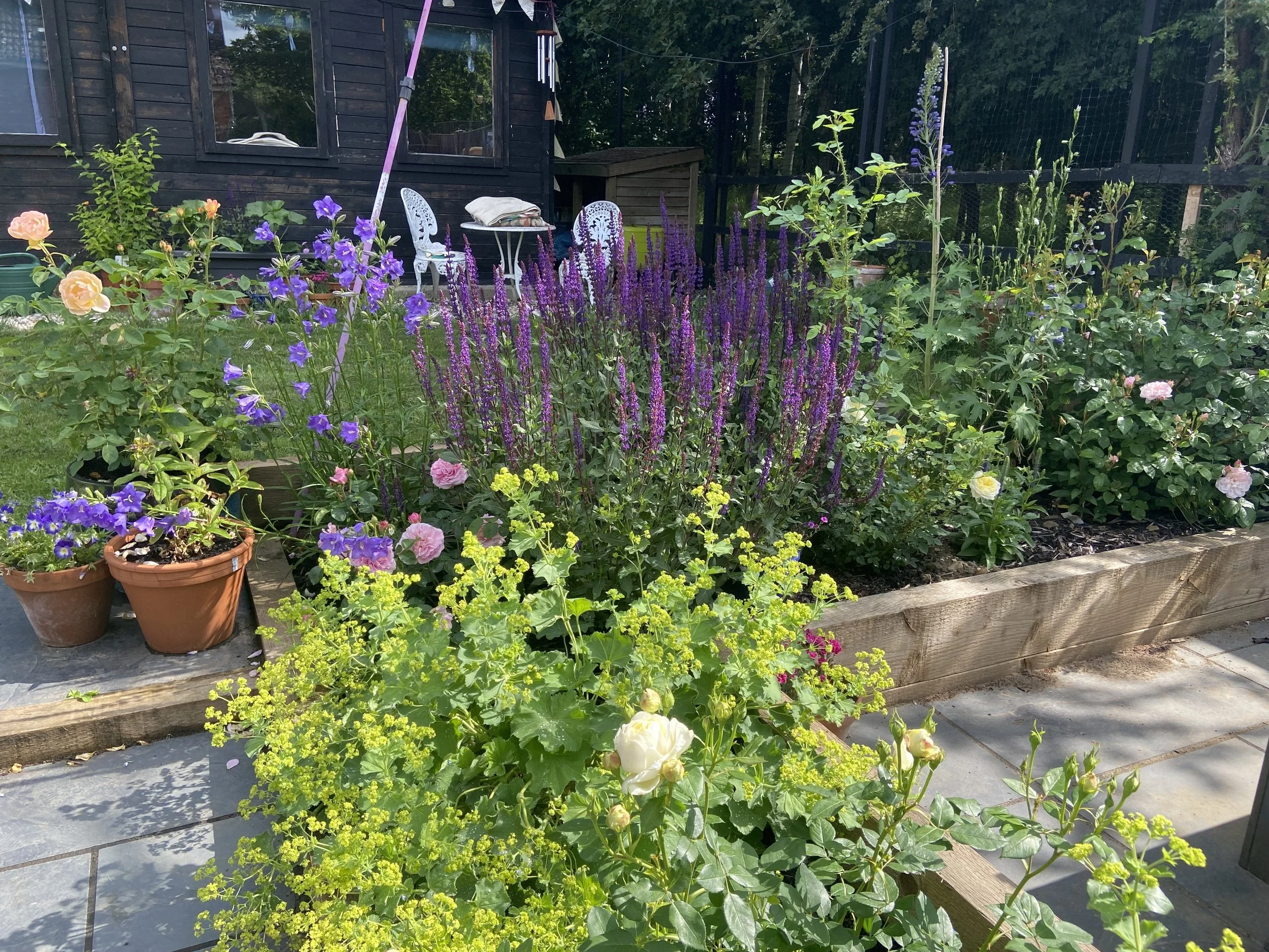 Finding Joy in a Complex and Challenging World