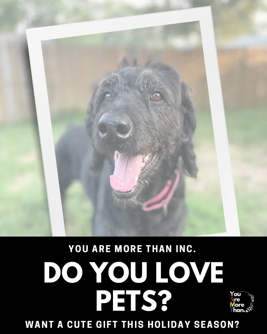 You Are More Than Inc. 
:
✨Looking for a heartfelt gift this holiday season? 

We&rsquo;re thrilled to share a new way to support You Are More Than&rsquo;s survivor-led programs, while celebrating the furry friends who bring love and comfort to our l