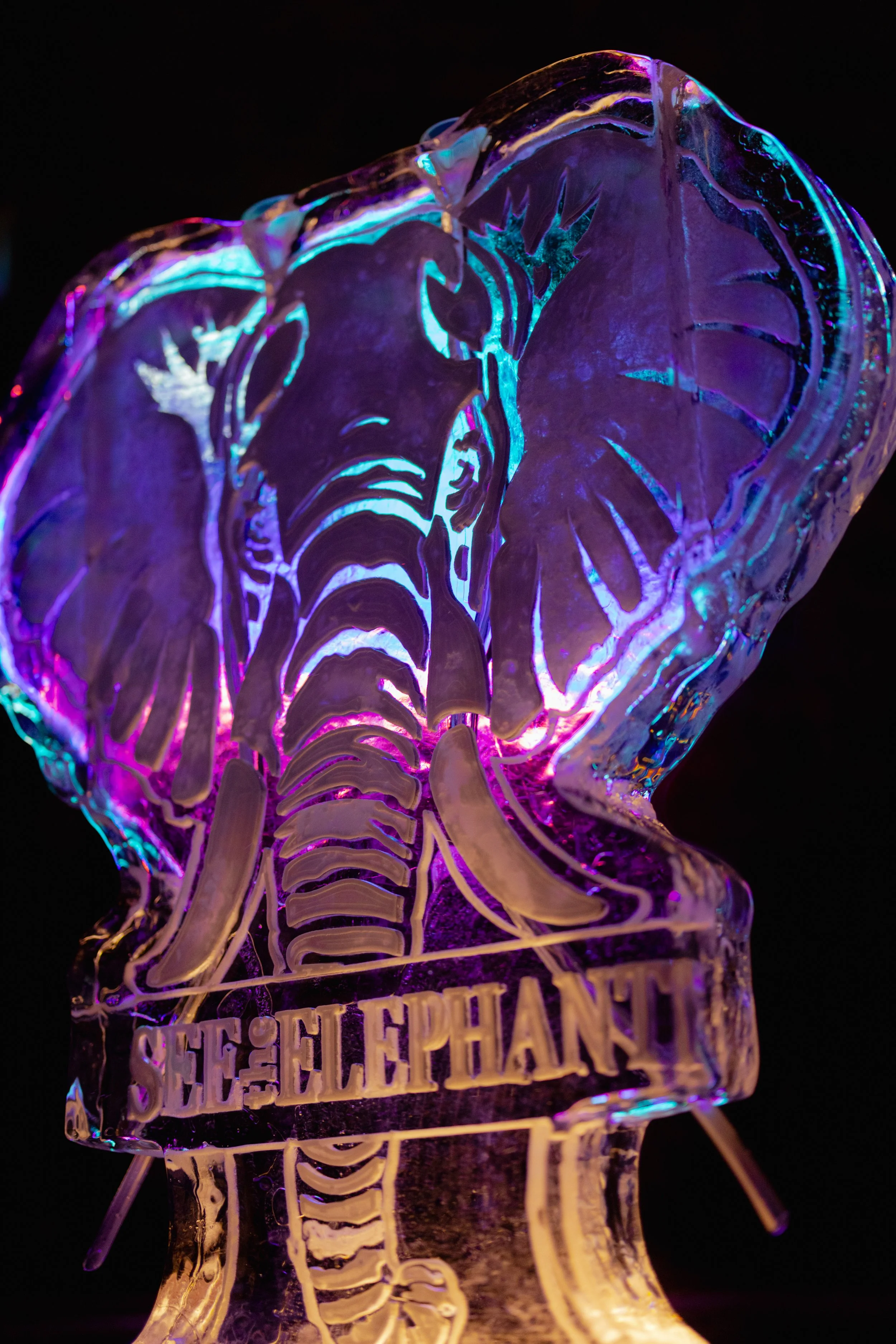 20250721 – SEE THE ELEPHANT – 008.jpg