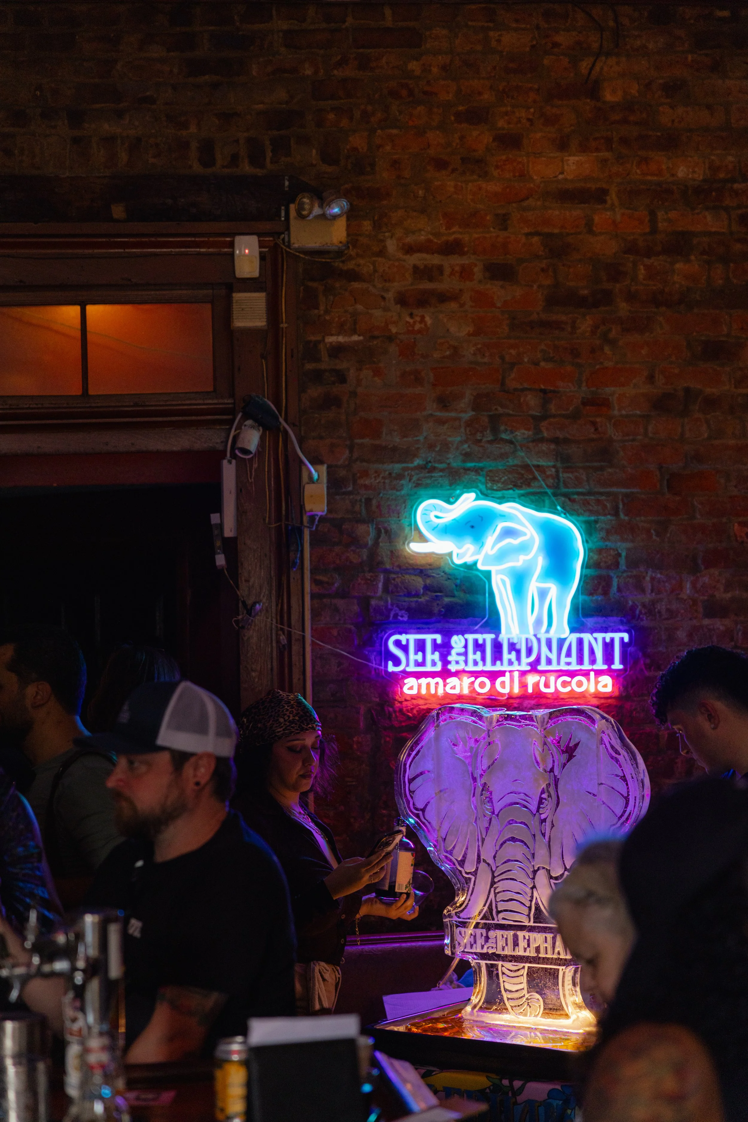 20250721 – SEE THE ELEPHANT – 108.jpg